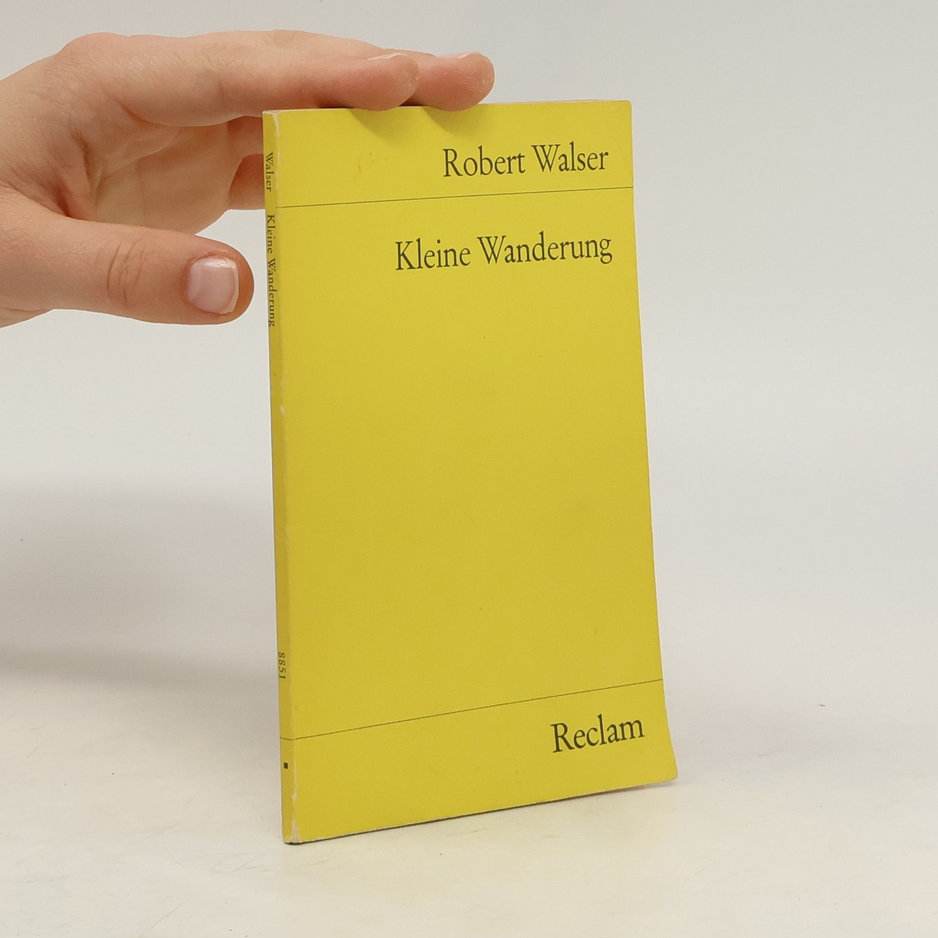 Robert Walser Kleine Wanderung