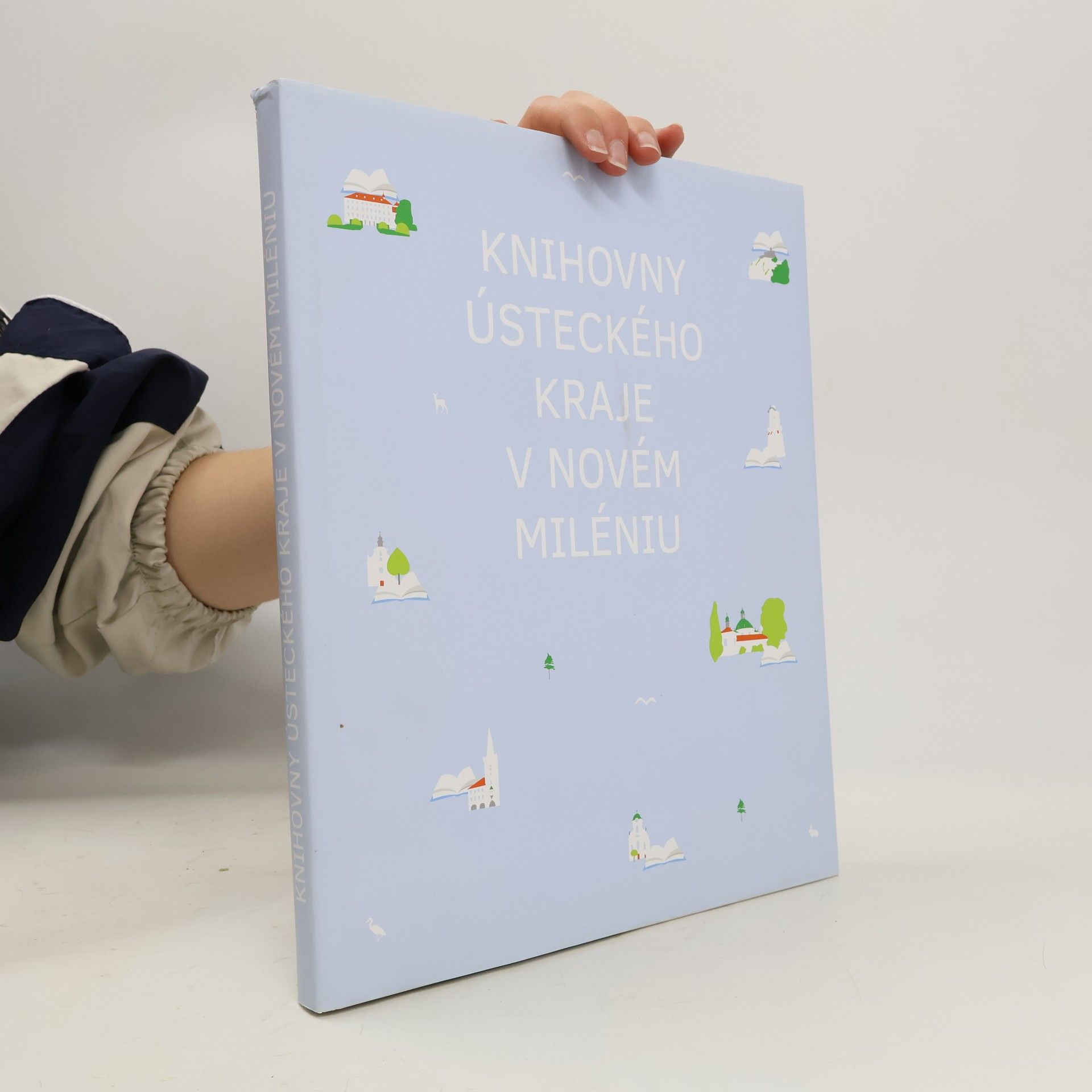 Zdenka Andree Knihovny Ústeckého kraje v novém miléniu