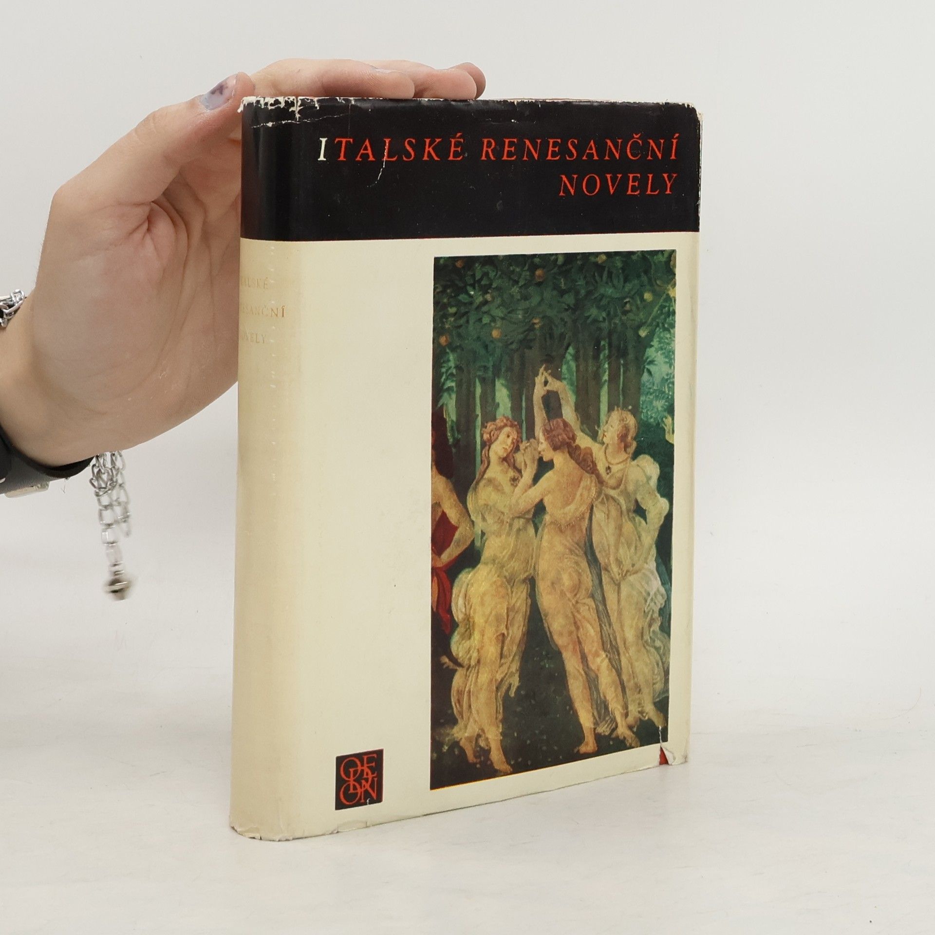 Collectif d'auteurs Italské renesanční novely