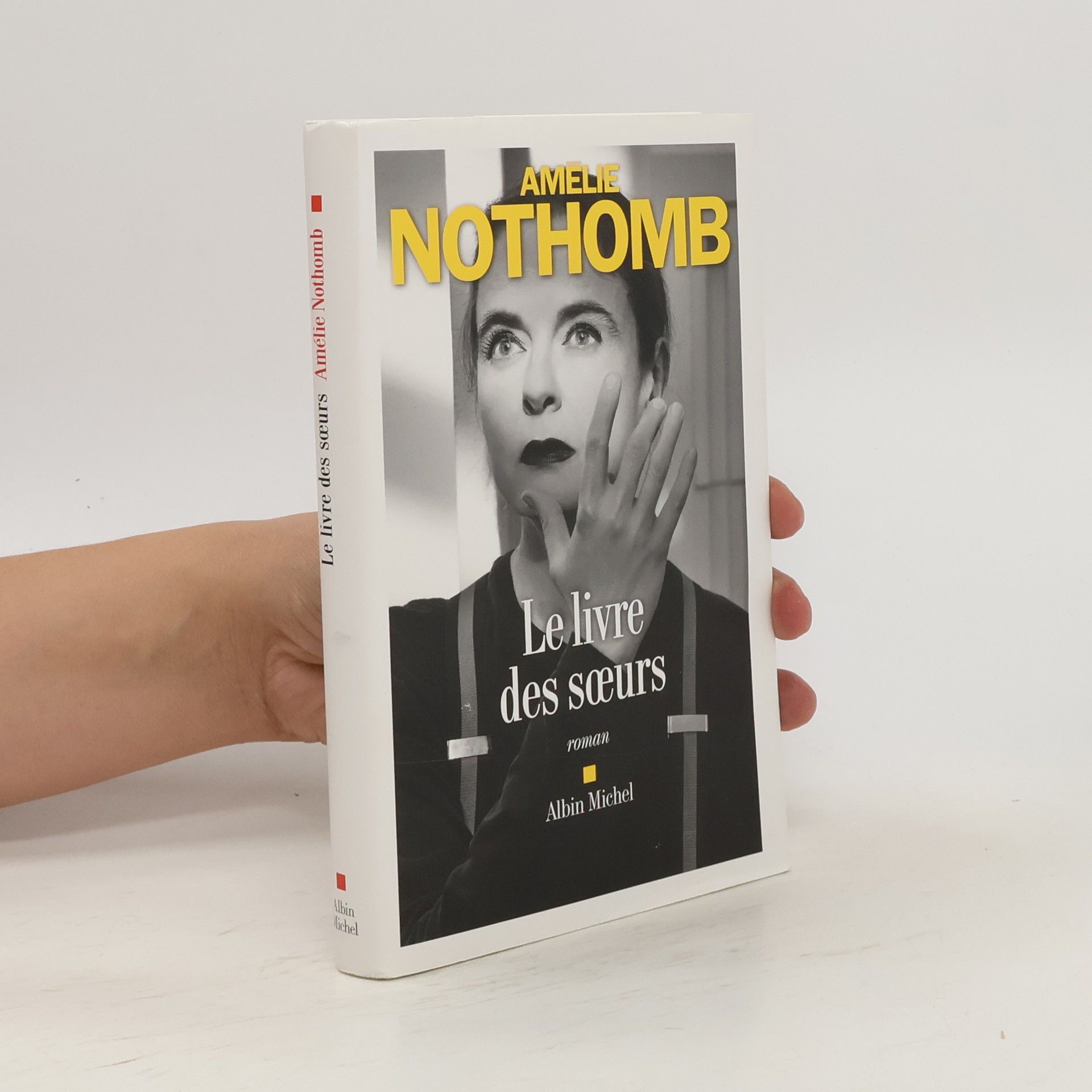 Amélie Nothomb Le Livre des soeurs
