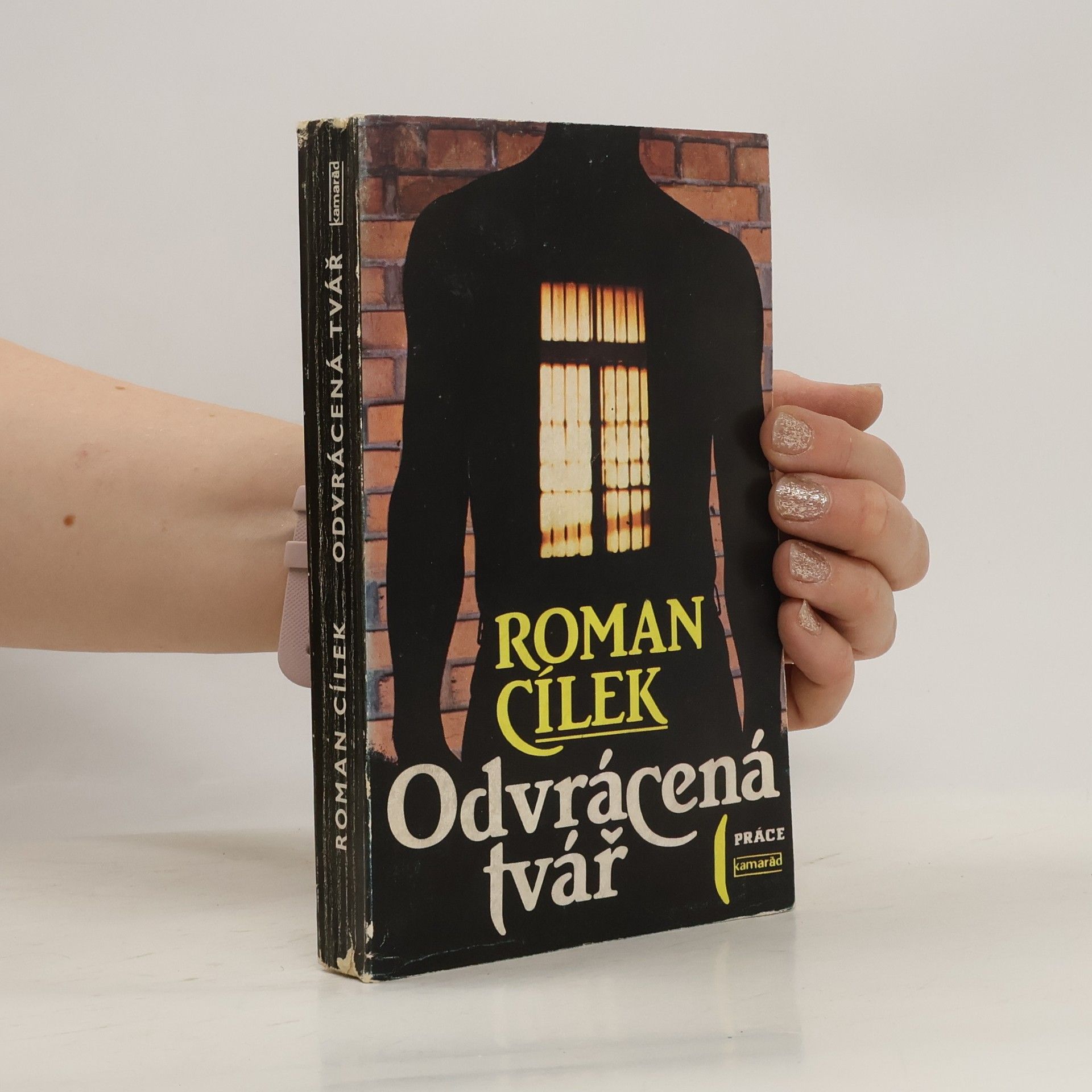 Roman Cílek Odvrácená tvář