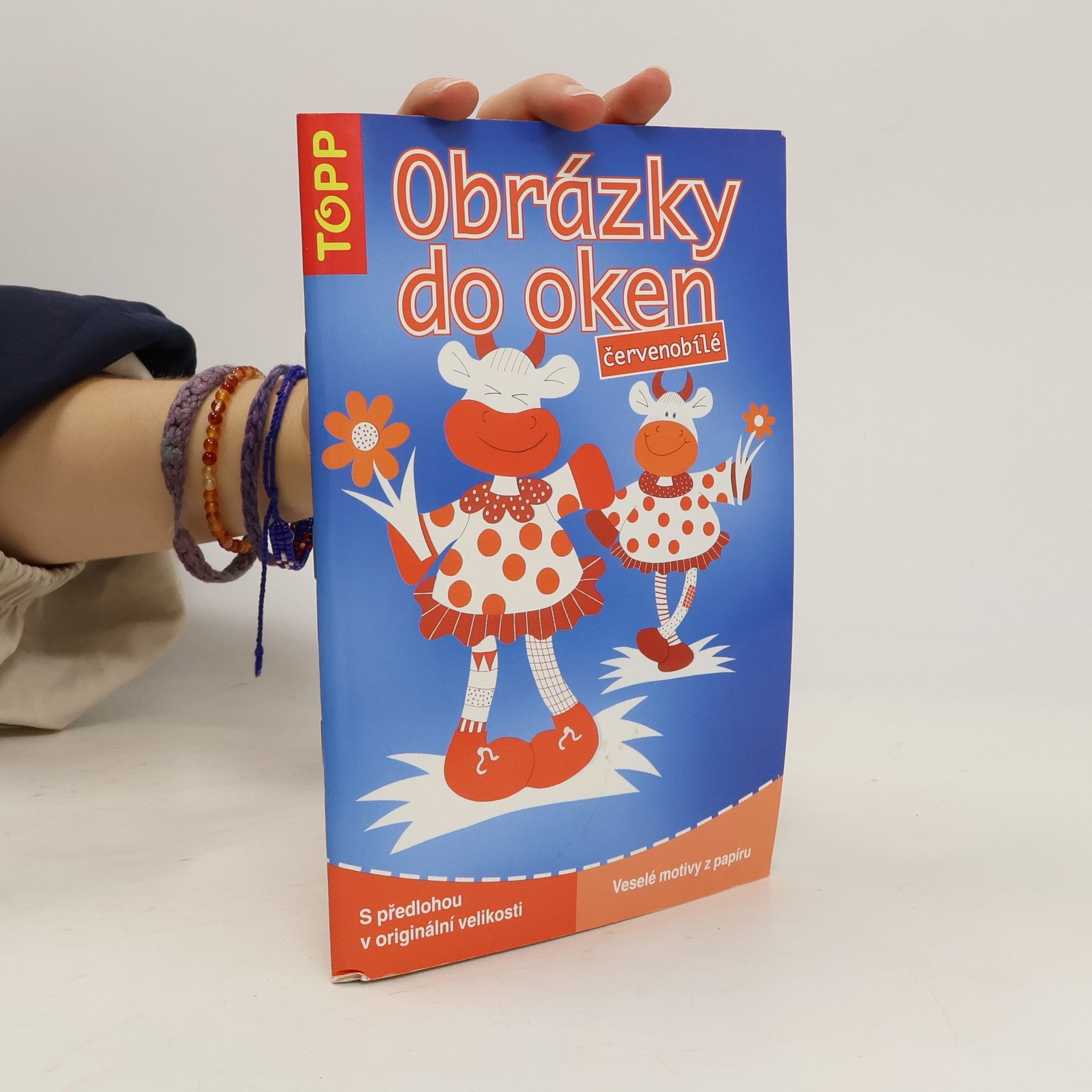 Angelika Kipp Obrázky do oken (červenobílé)