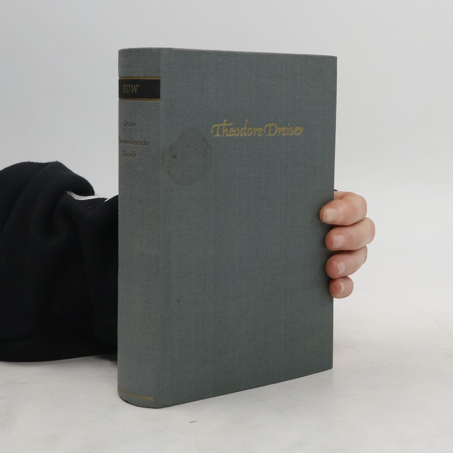 Theodore Dreiser Ein amerikanische Tragödie