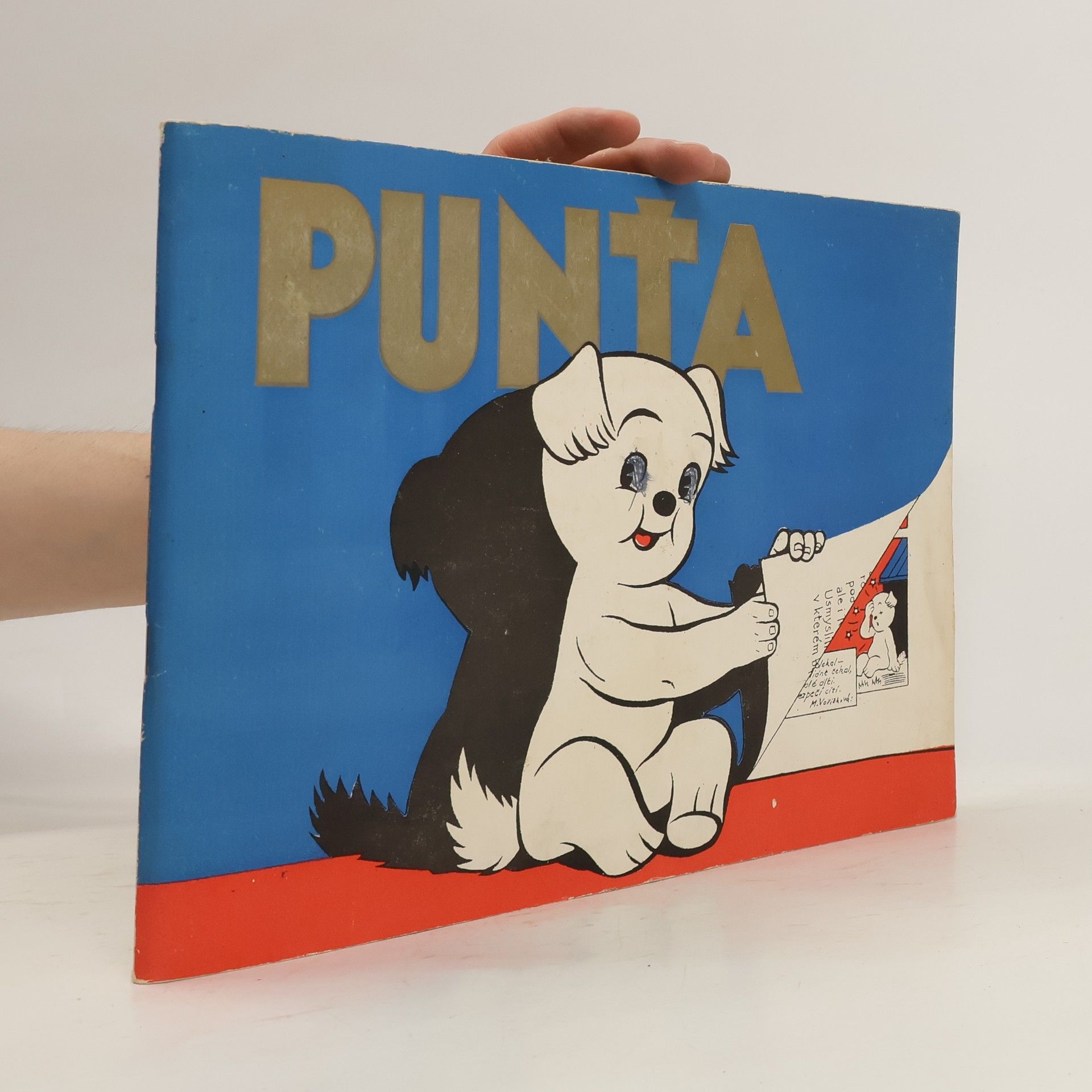 Blanka Svačinová Punťa