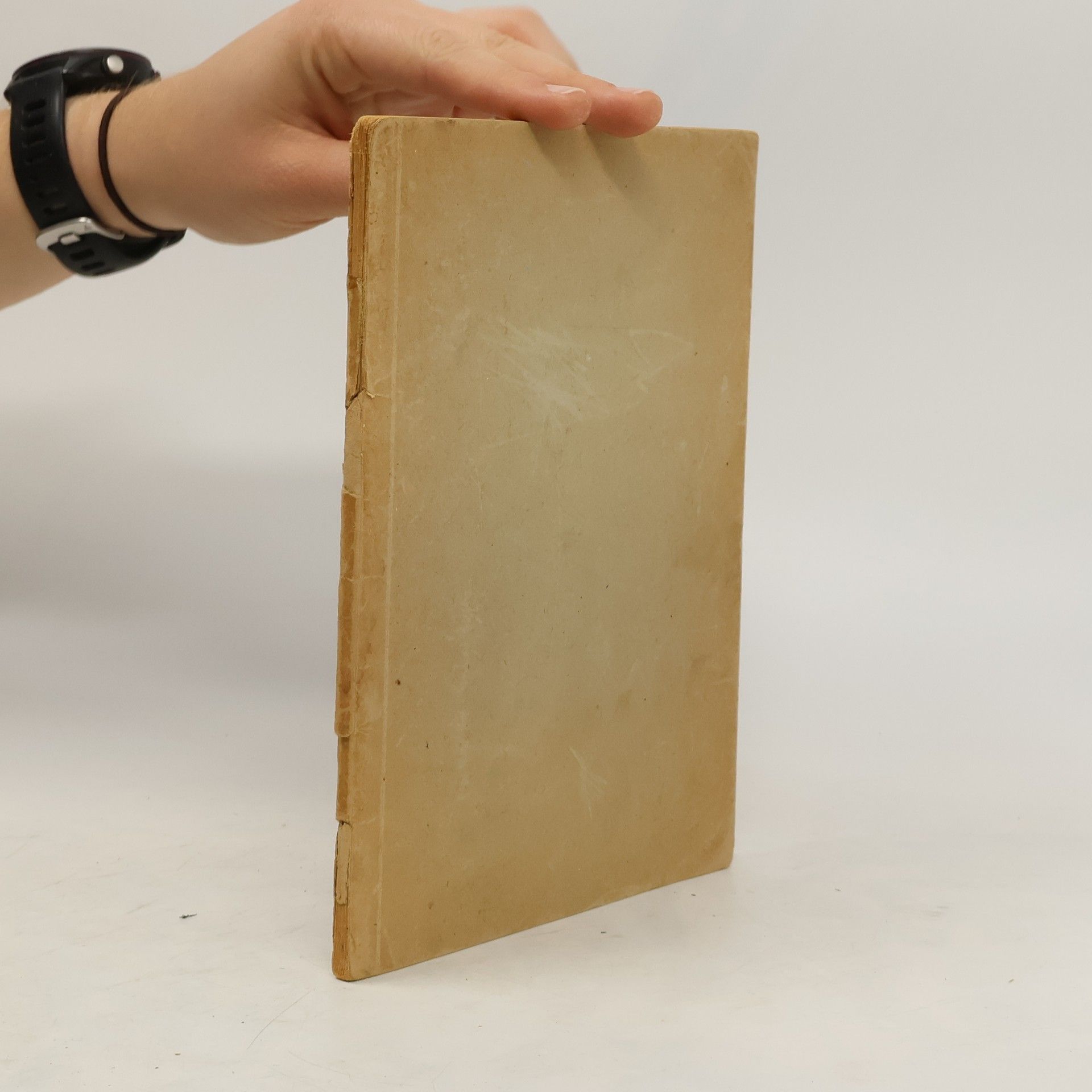 Elisabeth Heinsick Fritzchens Mondfahrt