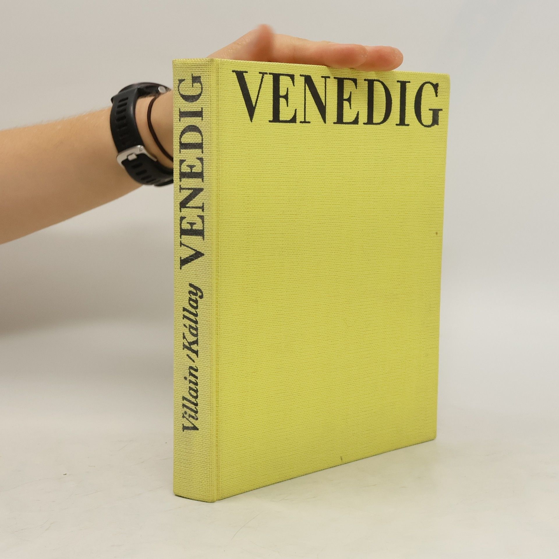 Villain Venedig