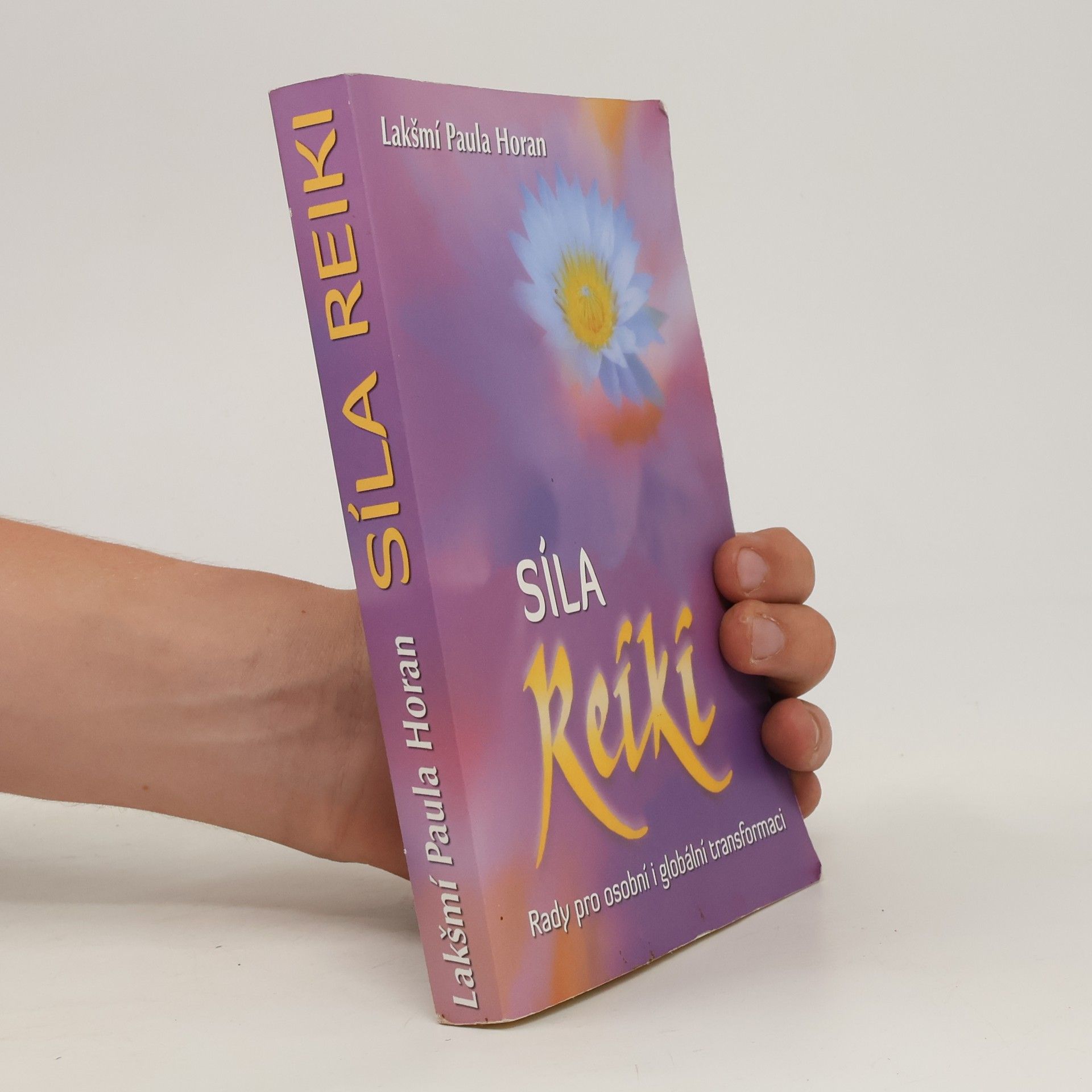 Paula Horan Síla reiki : rady pro osobní i globální transformaci