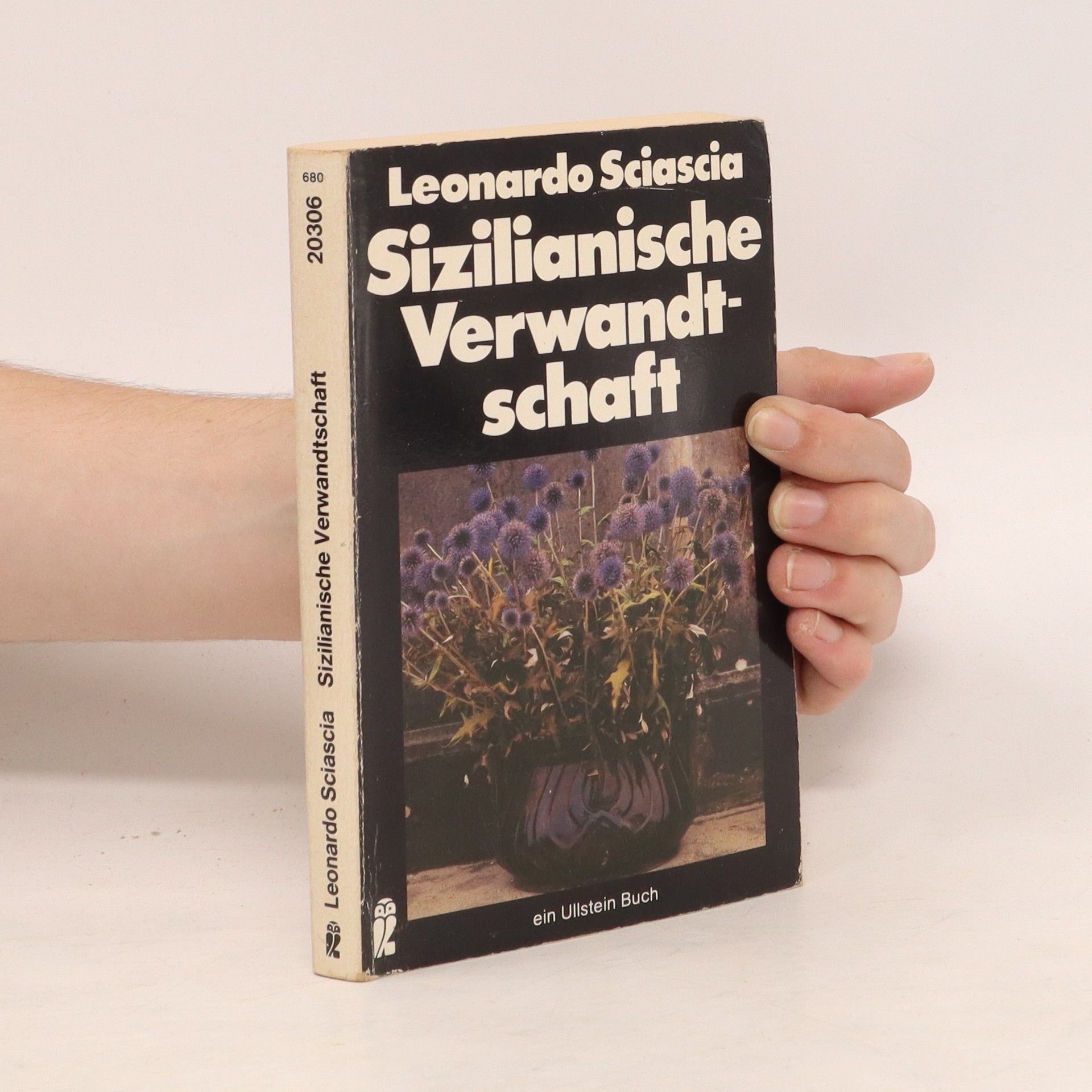 Leonardo Sciascia Sizilianische Verwandtschaft