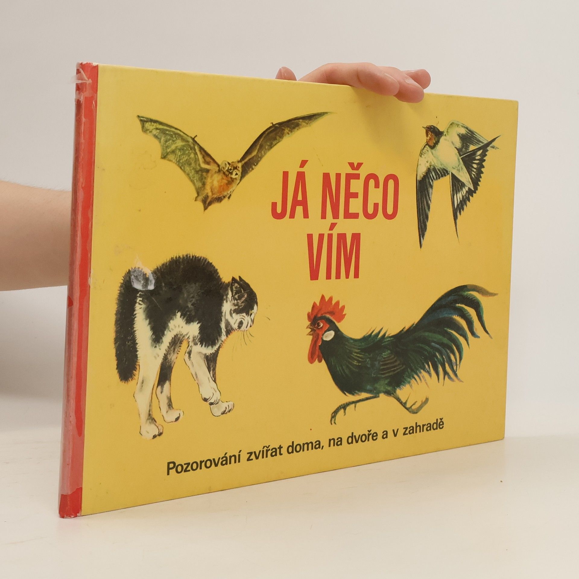 Waldemar Schulz Já něco vím. pozorování zvířat doma, na dvoře a v zahradě