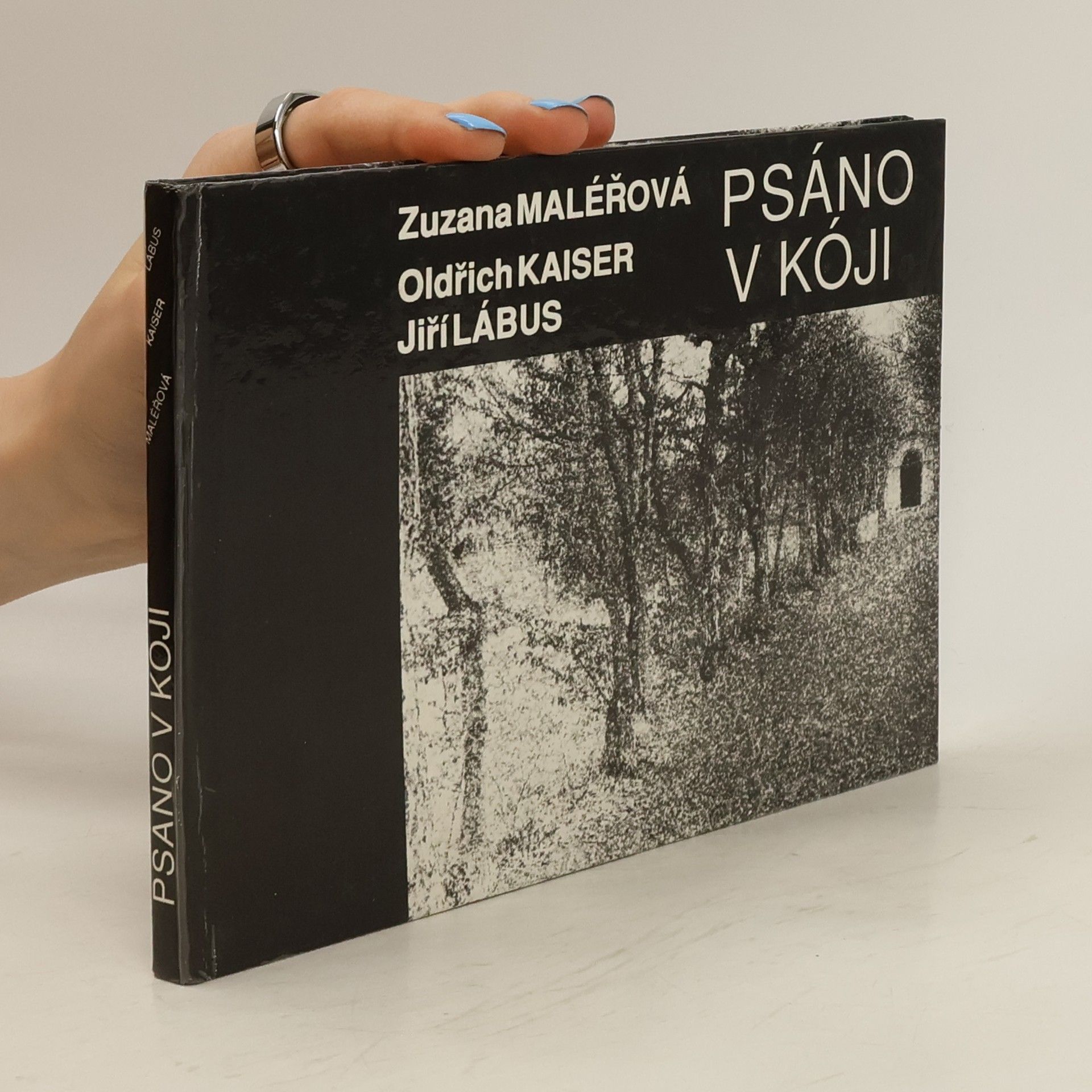 Zuzana Maléřová Psáno v kóji