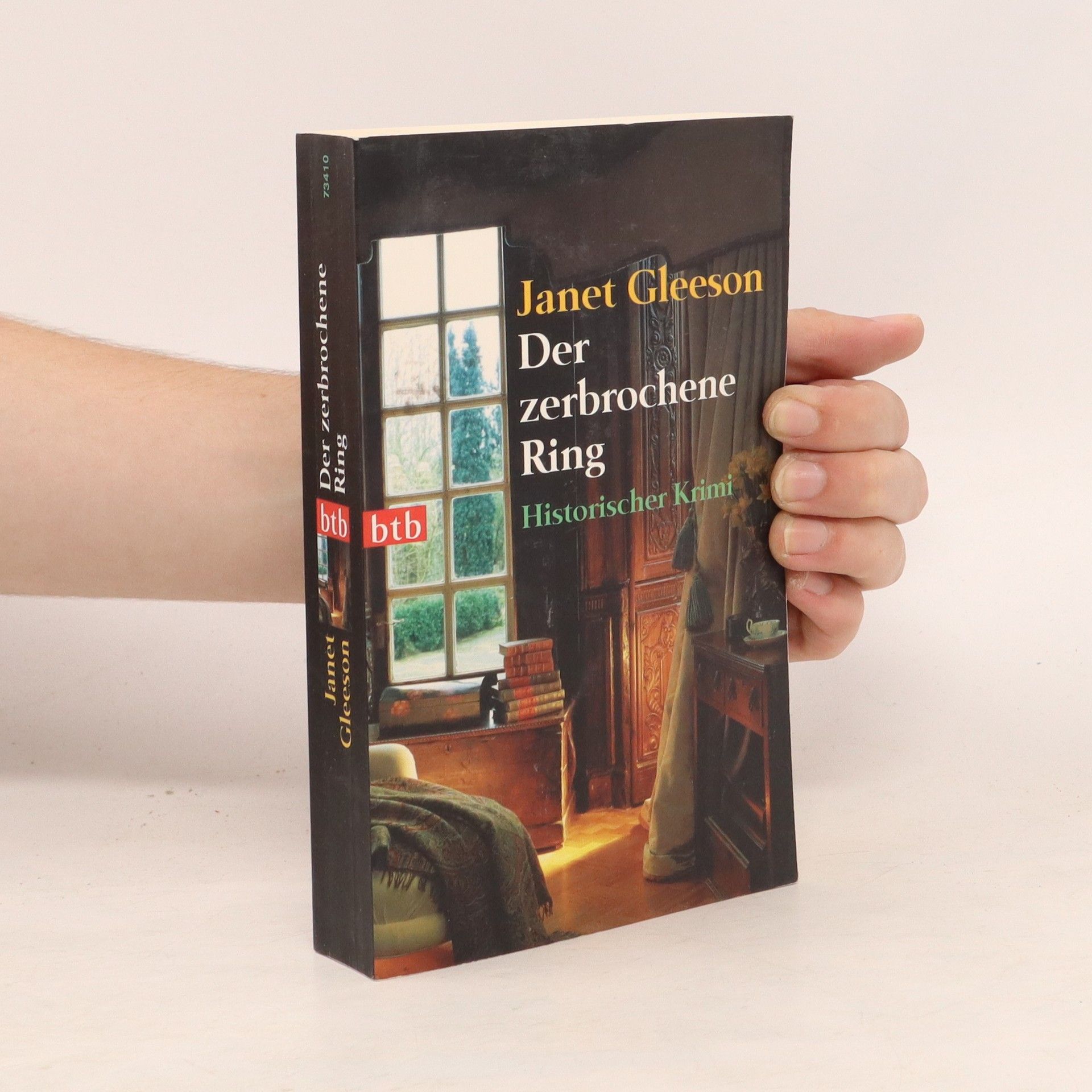 Janet Gleeson Der zerbrochene Ring