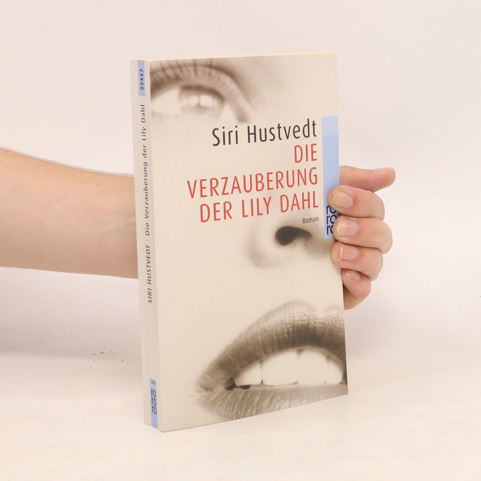 Siri Hustvedt Die Verzauberung der Lily Dahl
