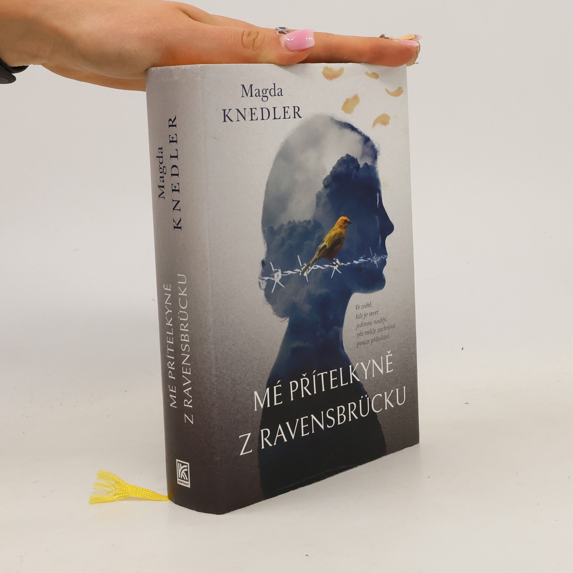 Magdalena Knedler Mé přítelkyně z Ravensbrücku