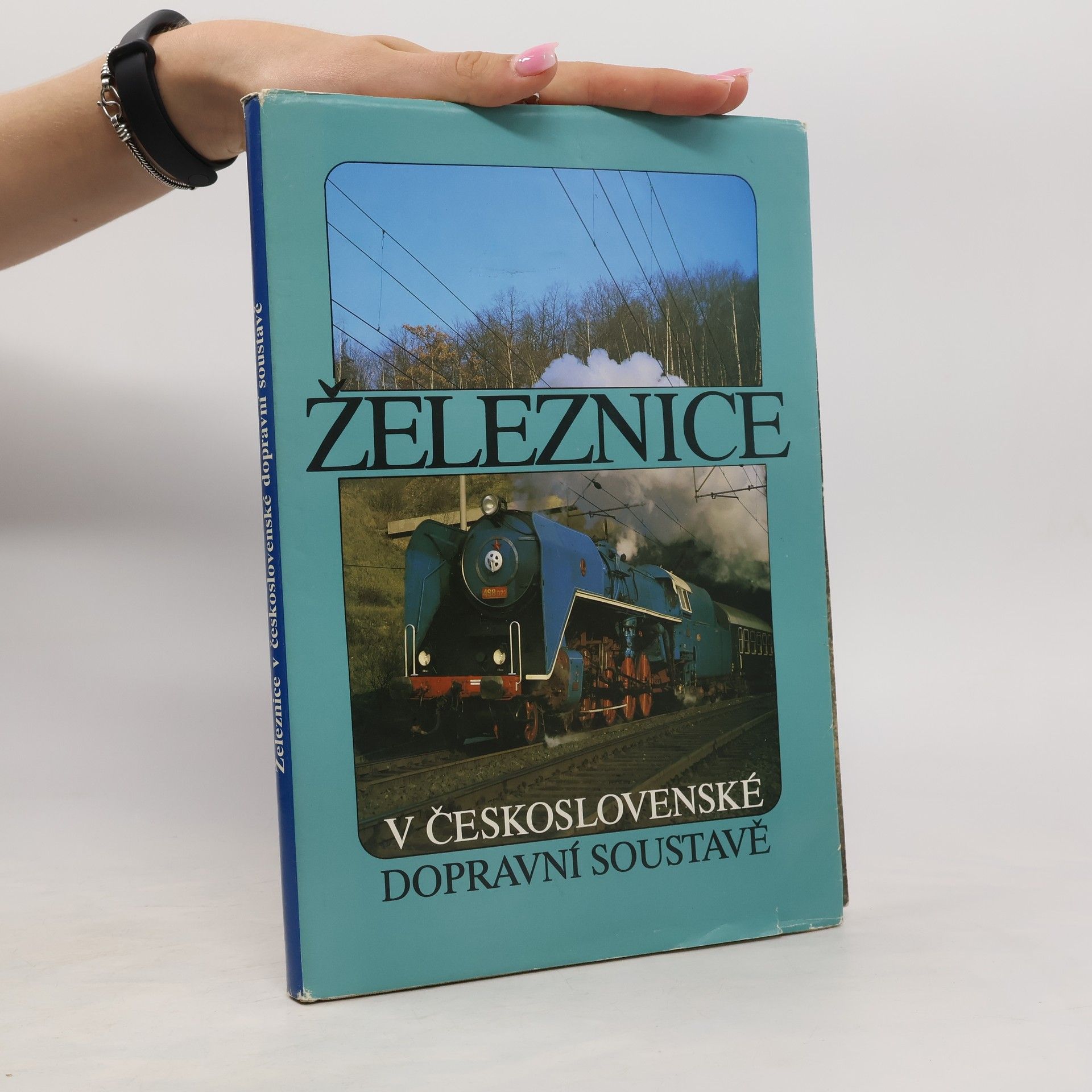 Petr Koubek Železnice v československé dopravní soustavě