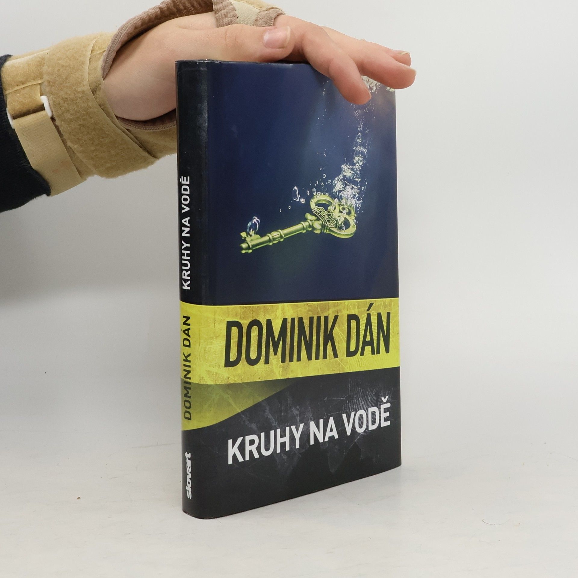 Dominik Dán Kruhy na vodě