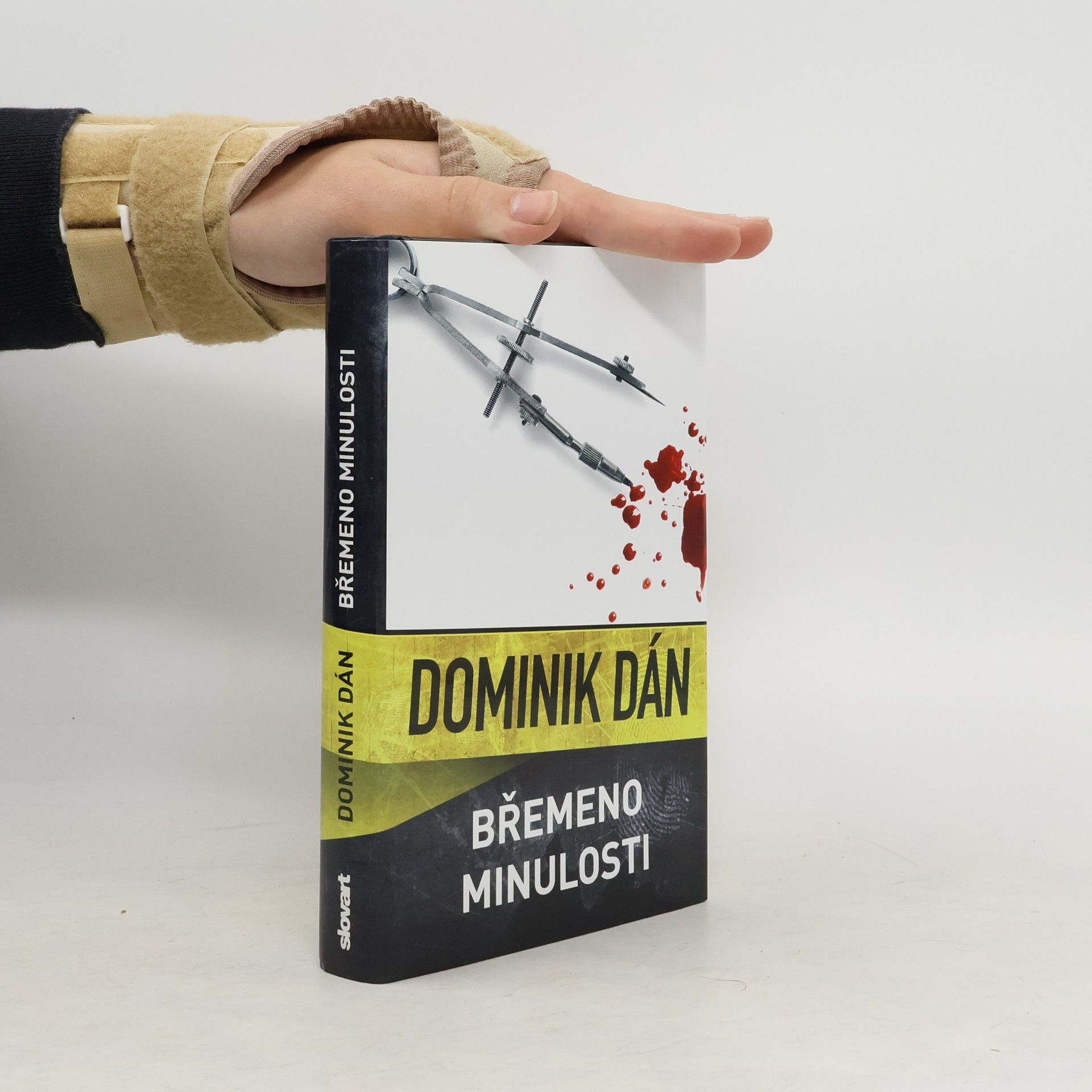 Dominik Dán Břemeno minulosti