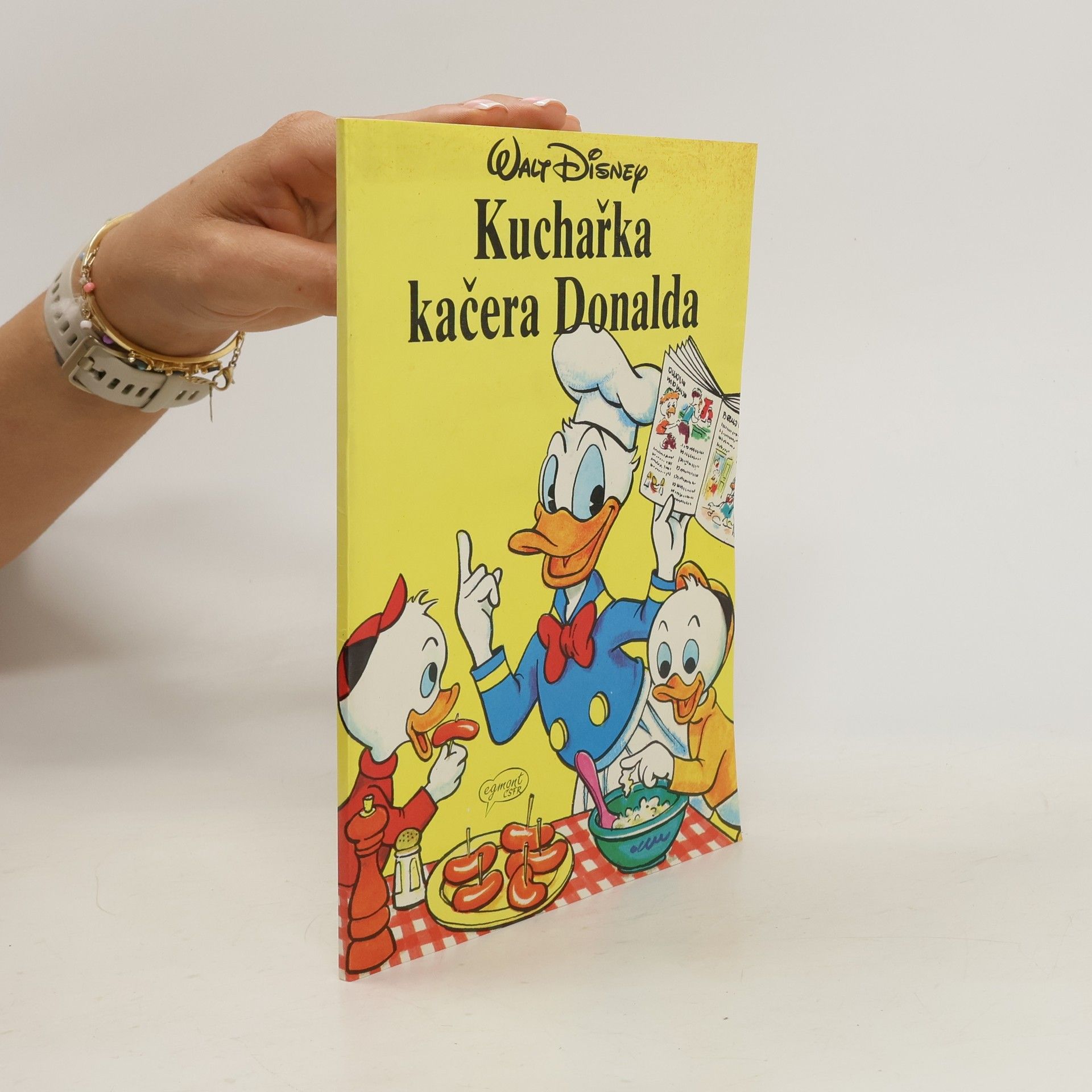 kolektiv Kuchařka kačera Donalda