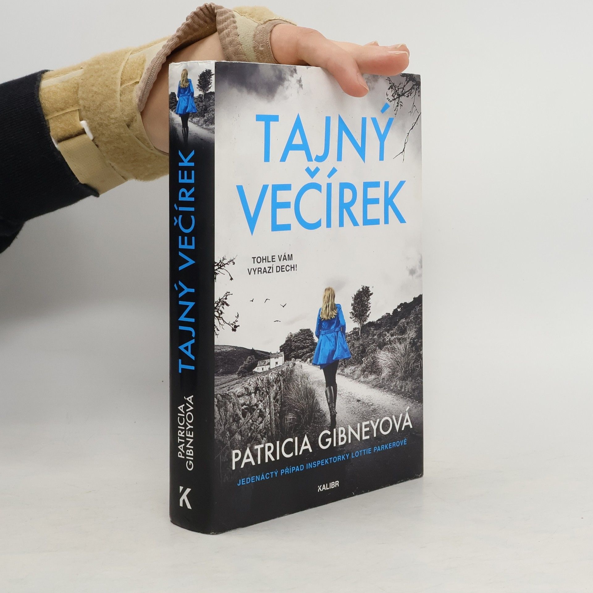 Patricia Gibney Tajný večírek