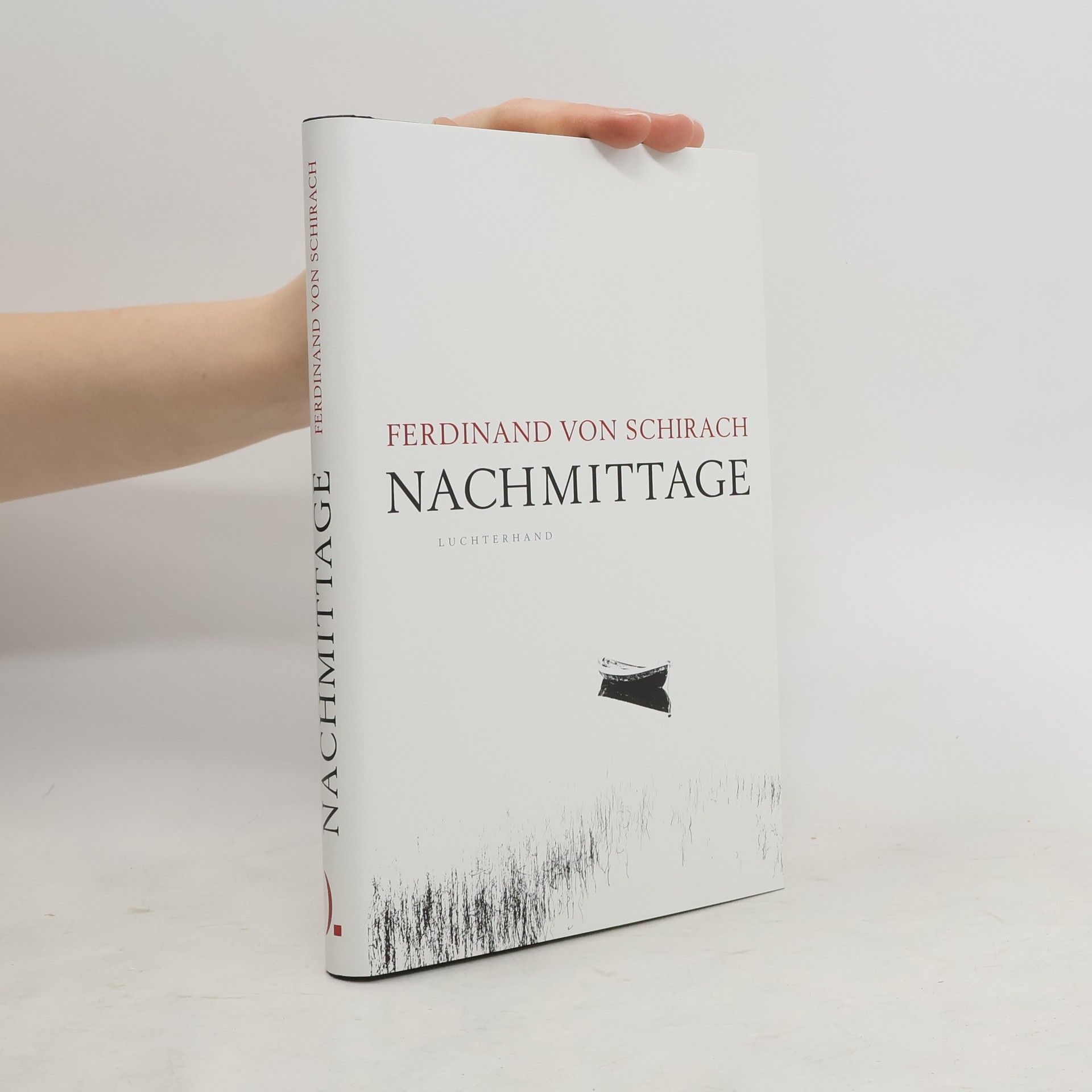 Ferdinand von Schirach Nachmittage