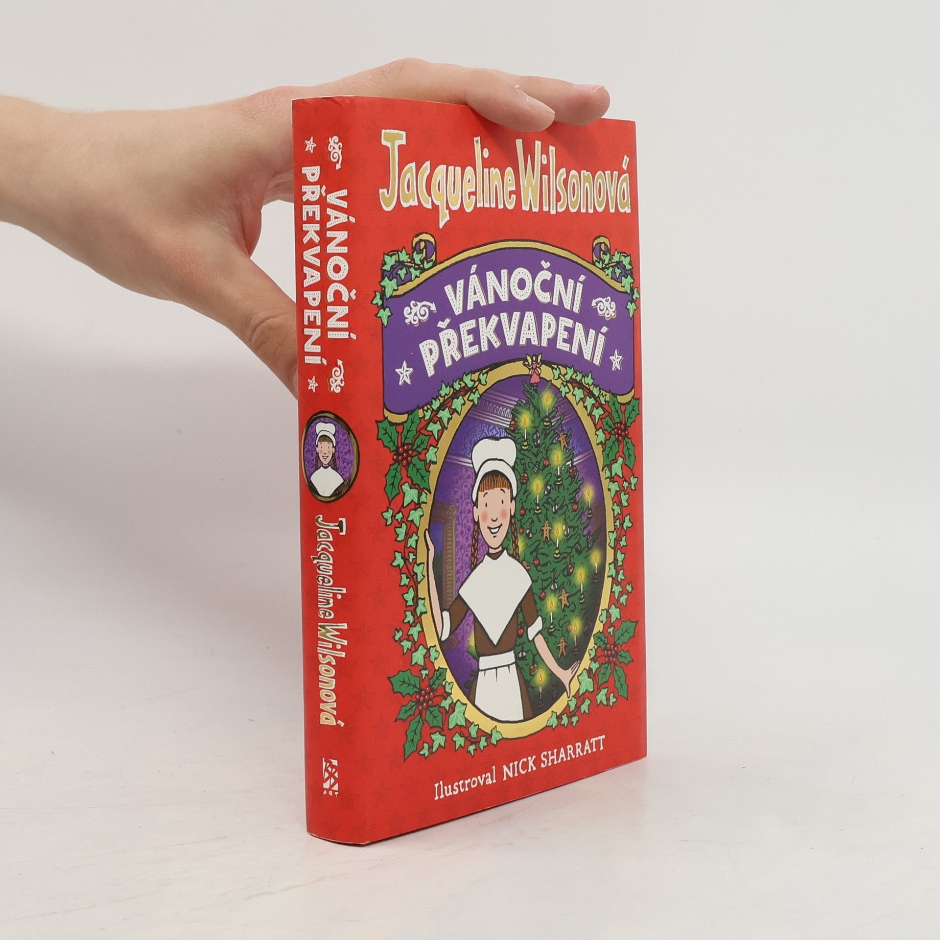 Jacqueline Wilson Vánoční překvapení
