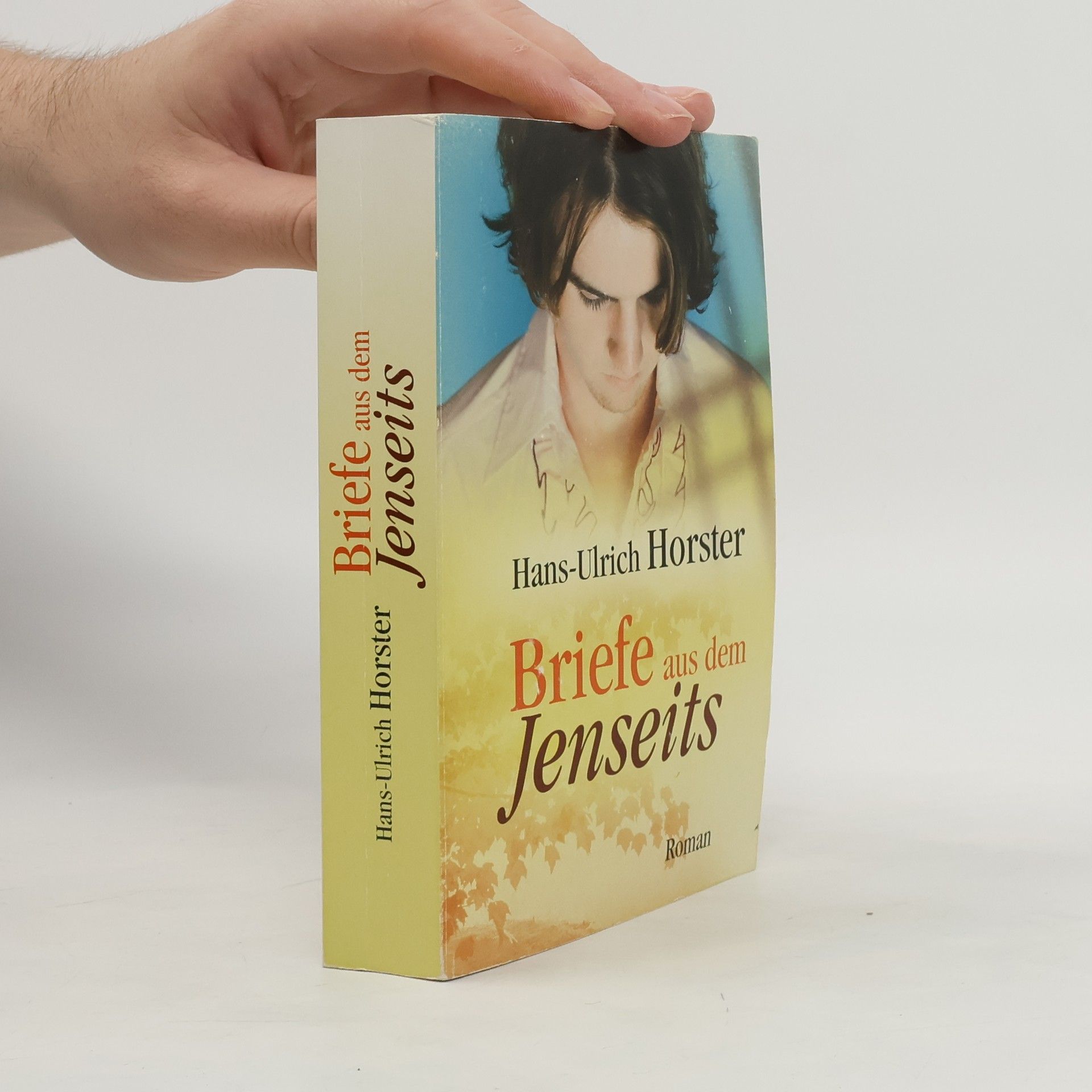 Hans-Ulrich Horster Briefe aus dem Jenseits. Roman