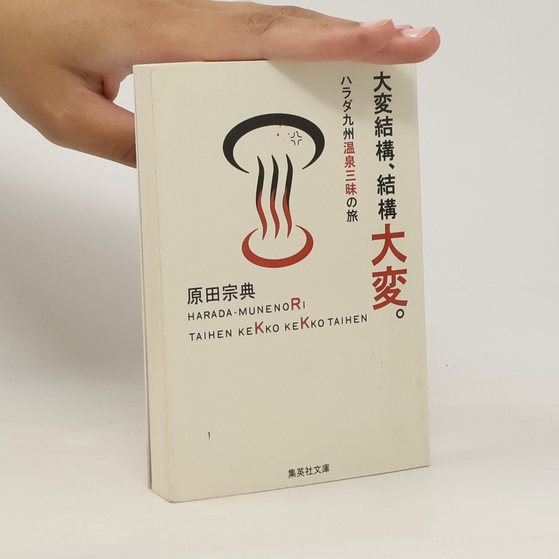 Munenori Harada 大変結構、結構大変。
