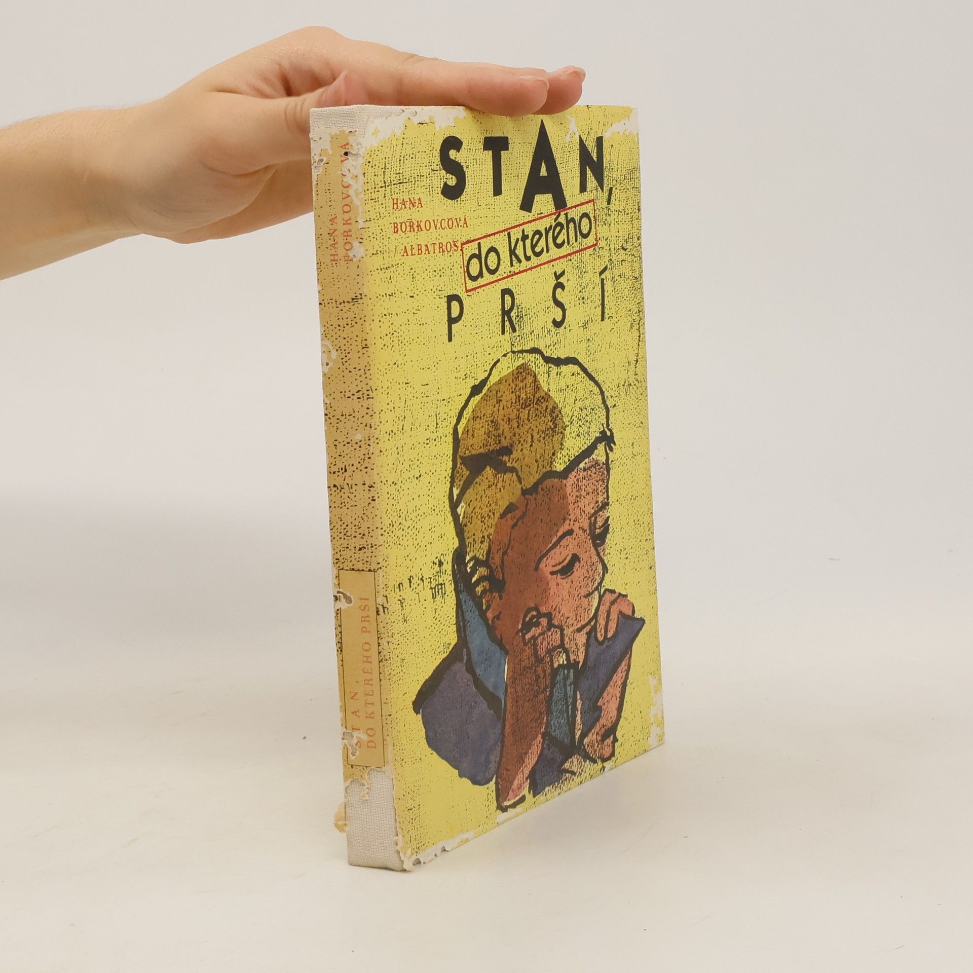 Hana Bořkovcová Stan, do kterého prší