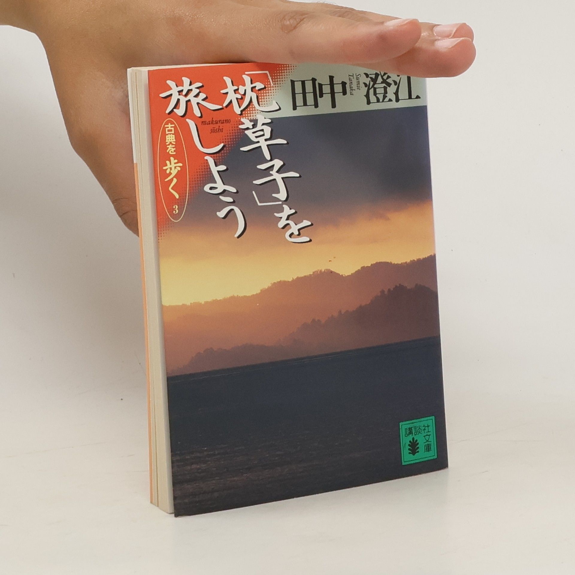 Sumie Tanaka を旅しよう