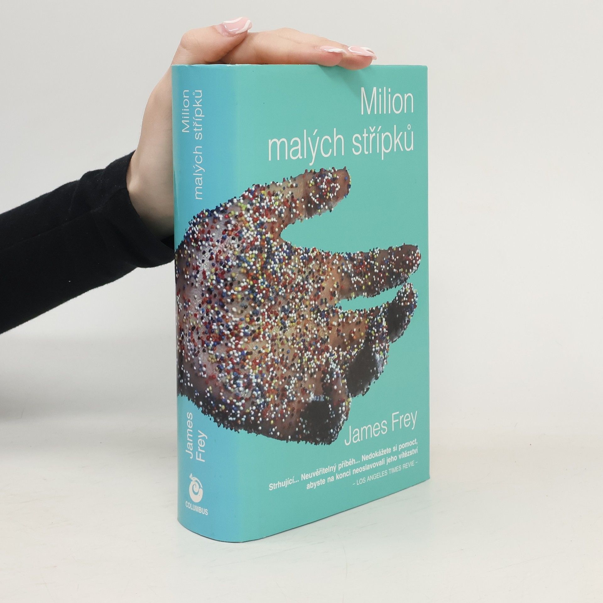 James Frey Milion malých střípků