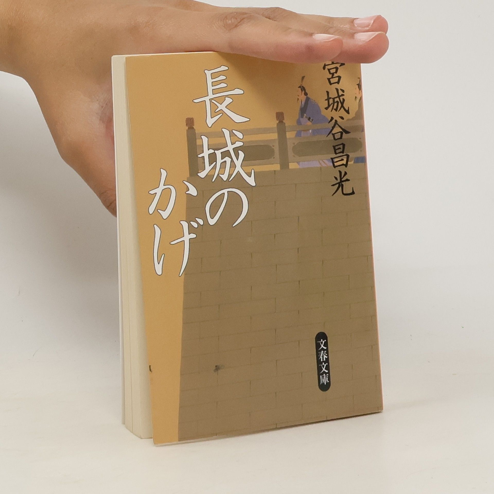 Masamitsu Miyagitani 長城のかげ