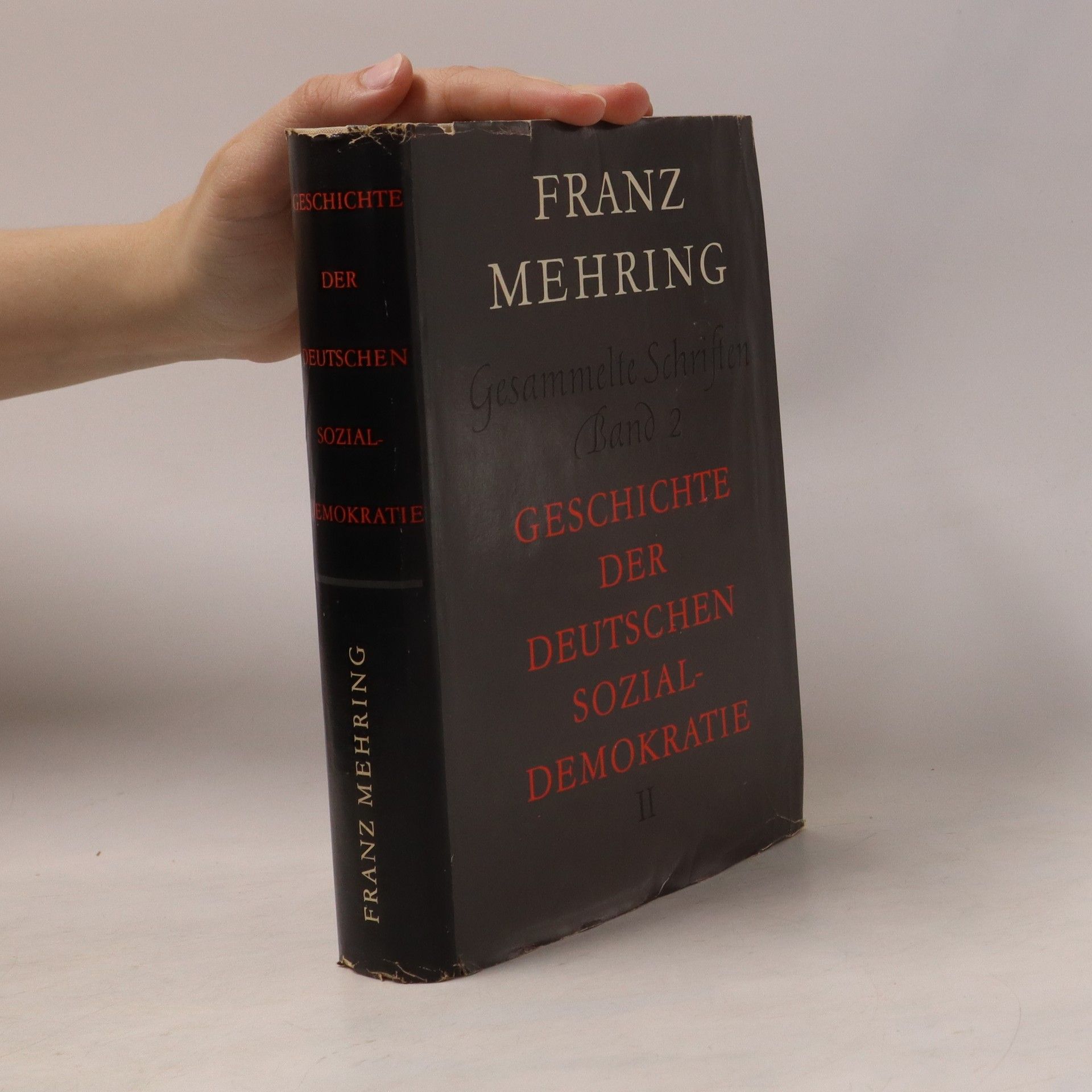Franz Mehring Gesammelte Schriften Band 2 - Geschichte der Deutschen Sozialdemokratie II