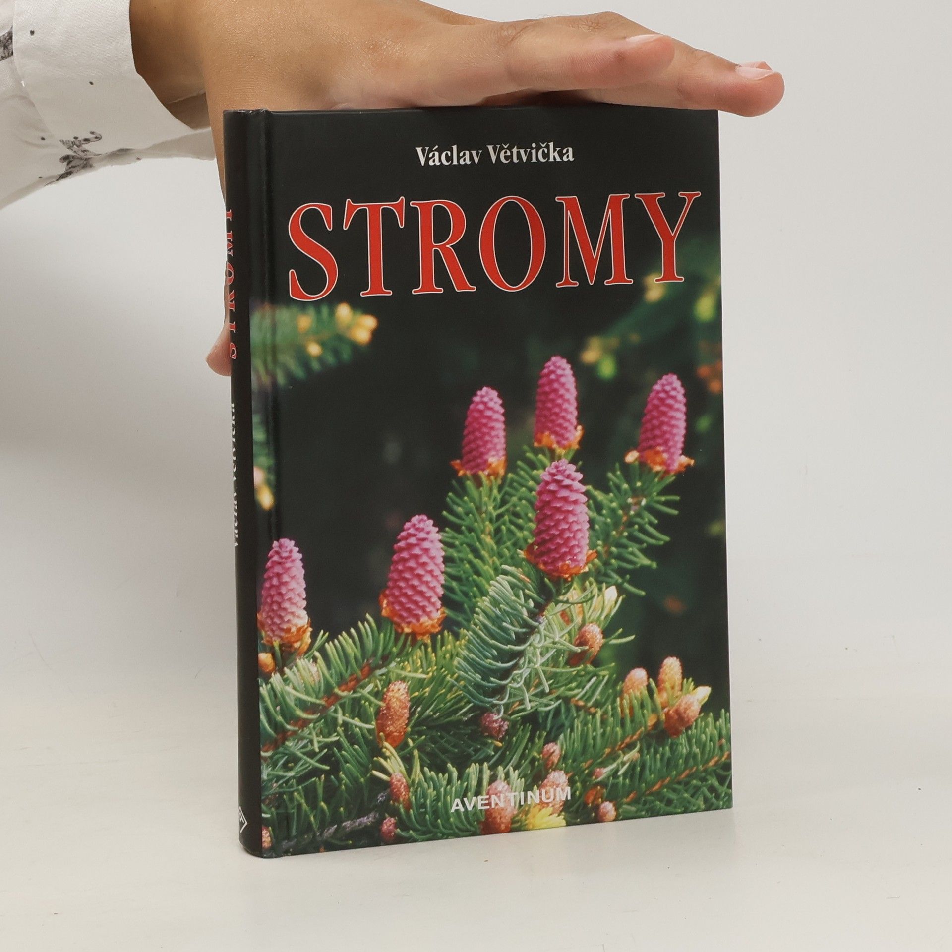 Václav Větvička Evropské stromy