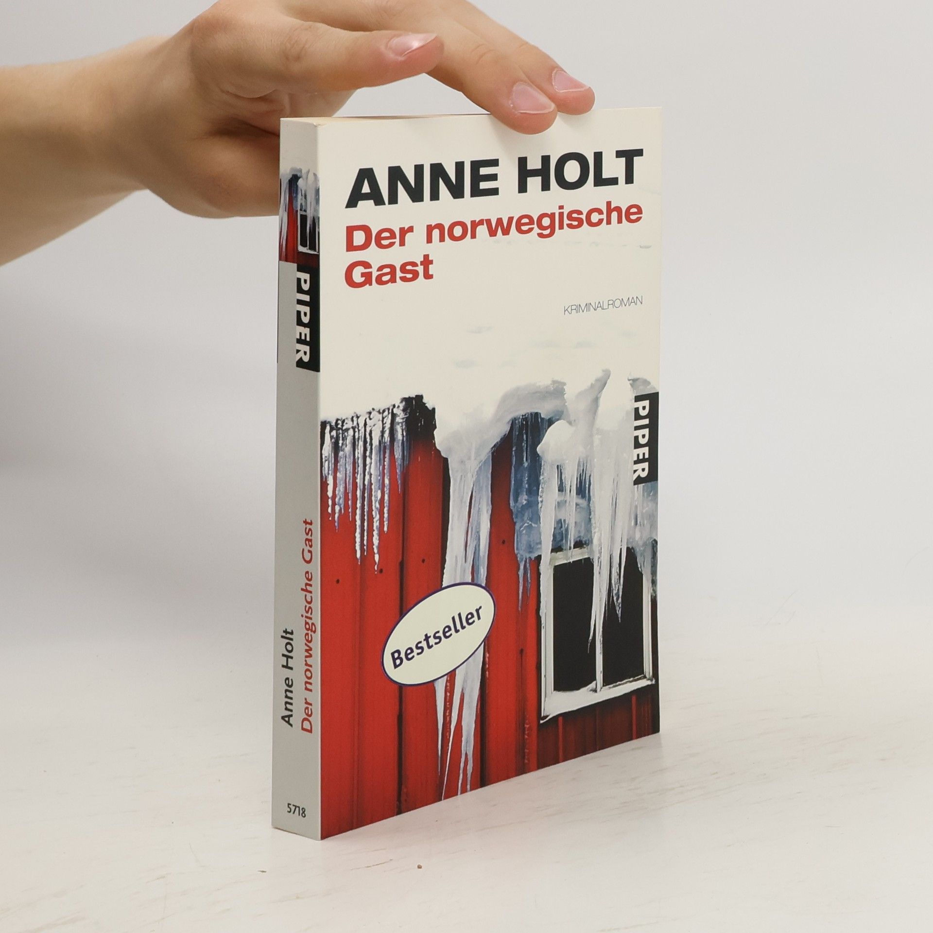 Anne Holt Der norwegische Gast