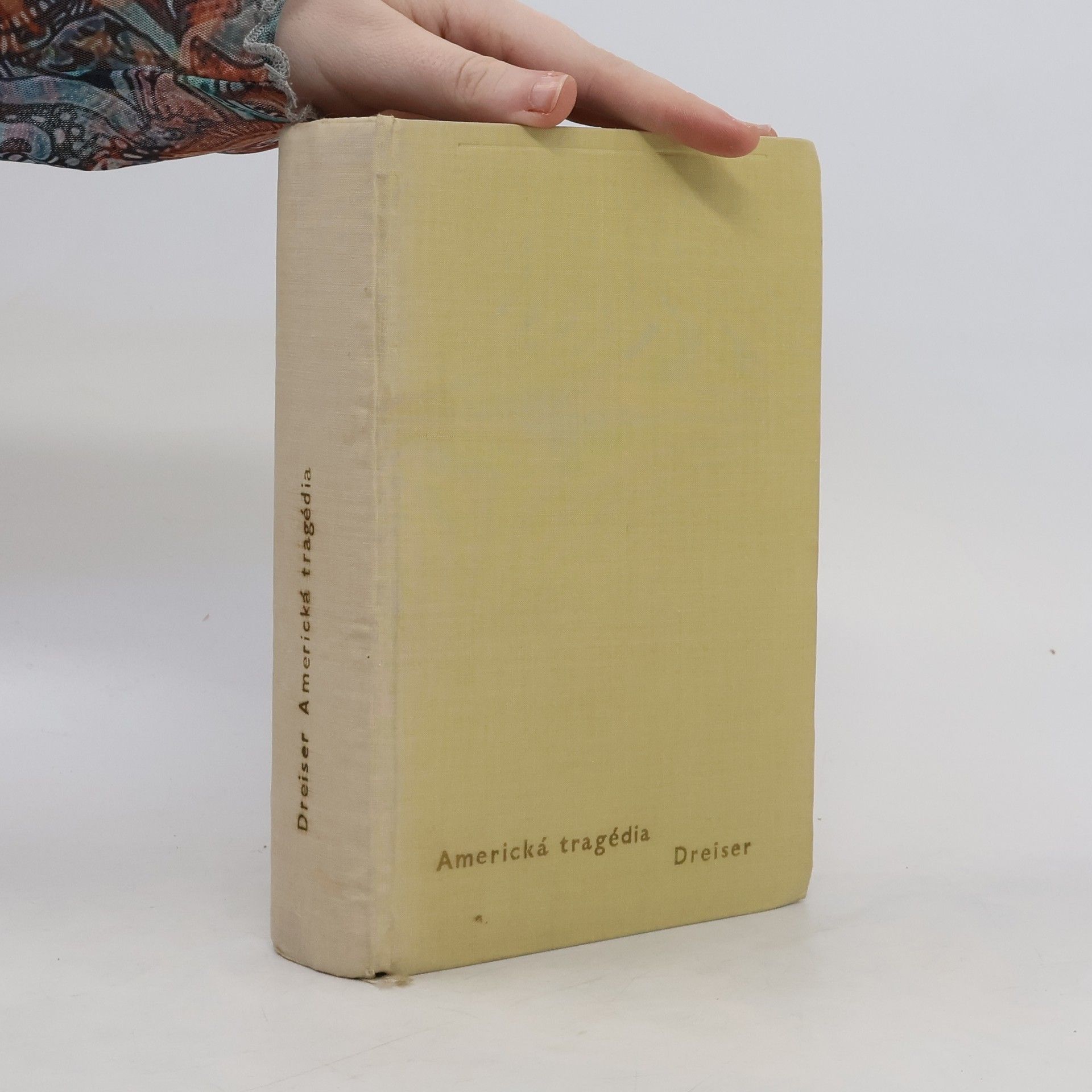 Theodore Dreiser Americká tragédia