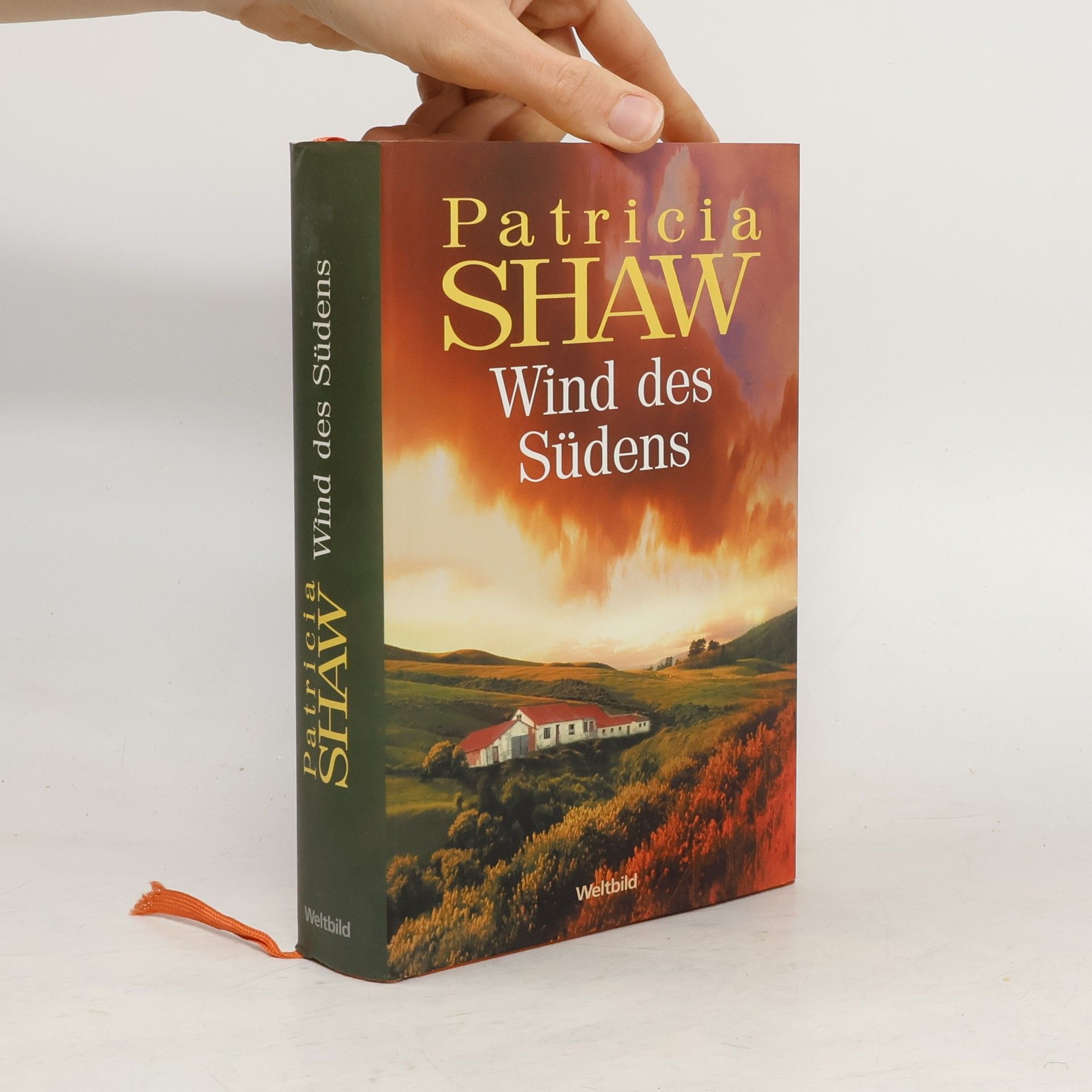 Patricia Shaw Wind des Südens