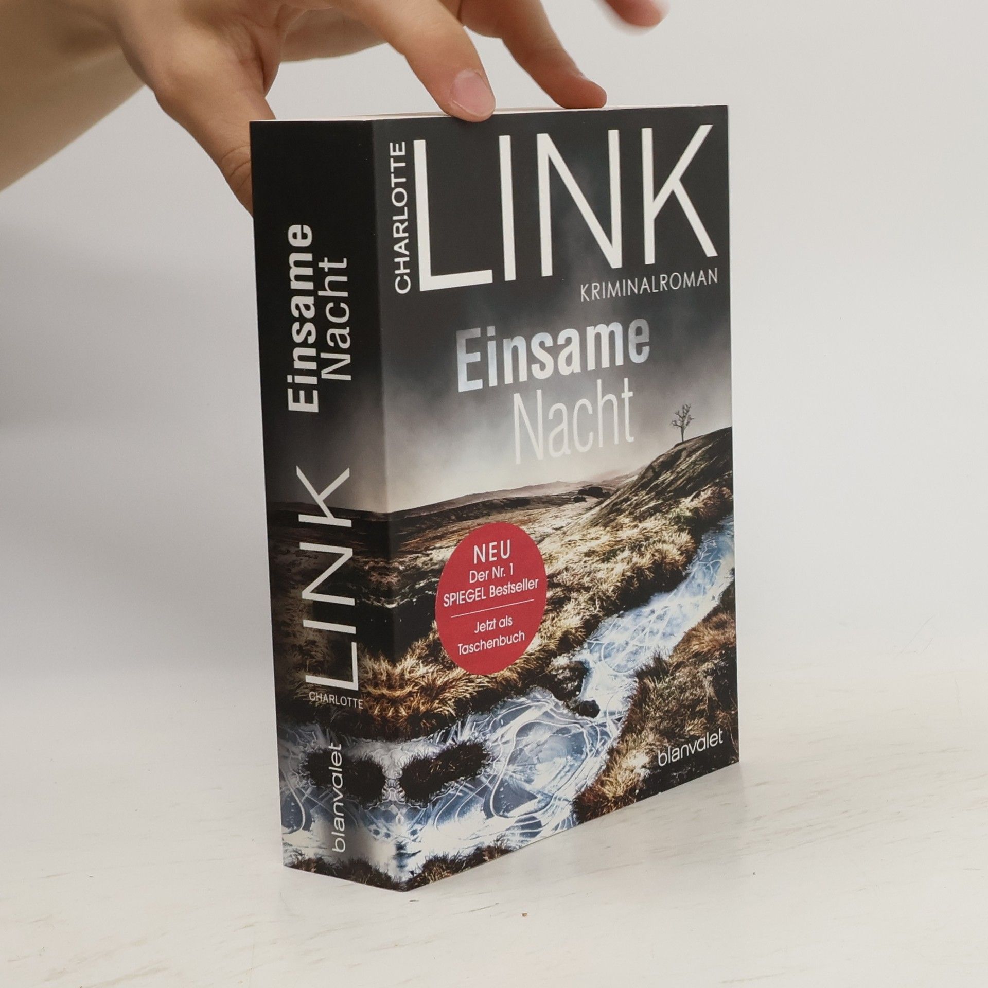 Charlotte Link Einsame Nacht