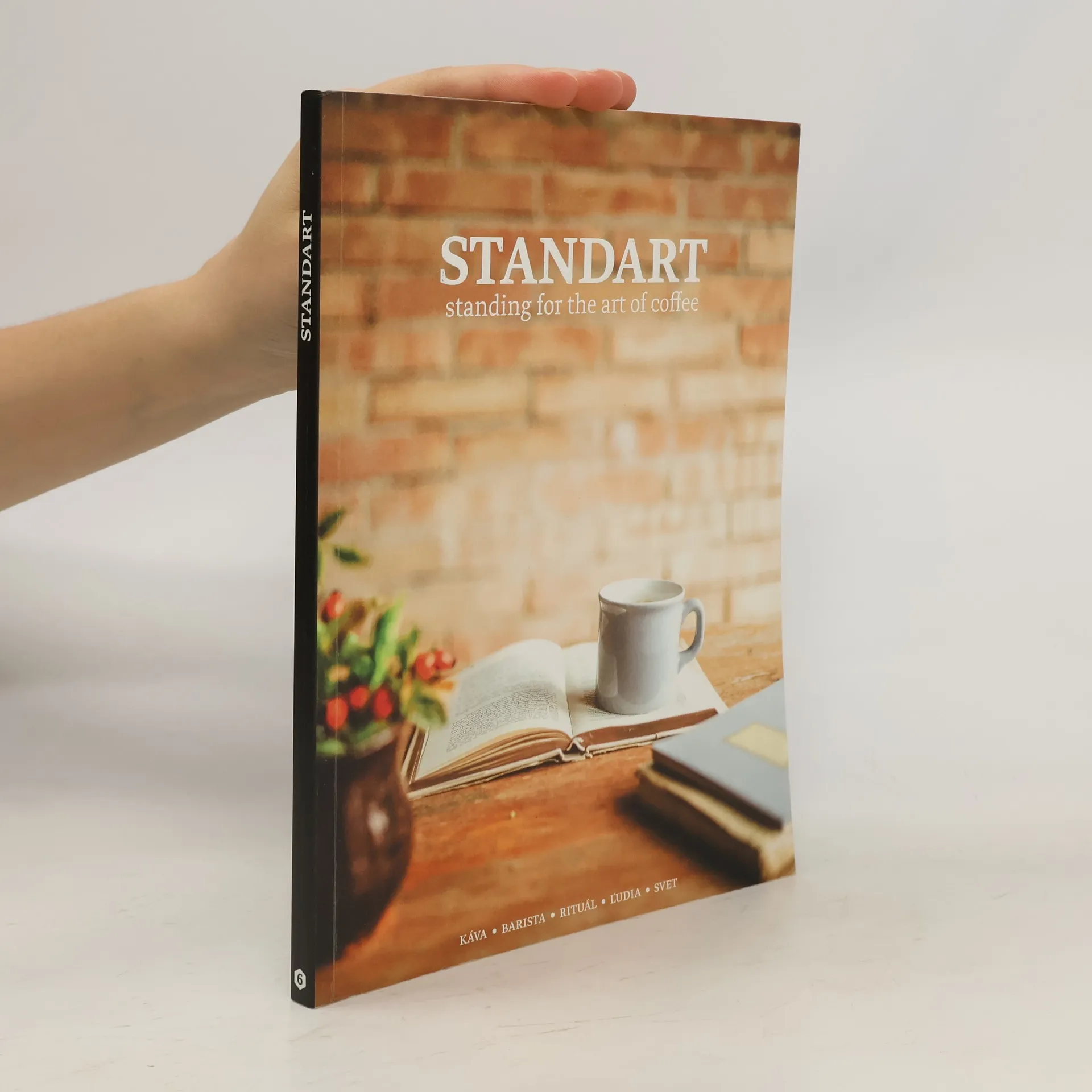 Standart 6/2 | Kniha | mäkká | kolektiv