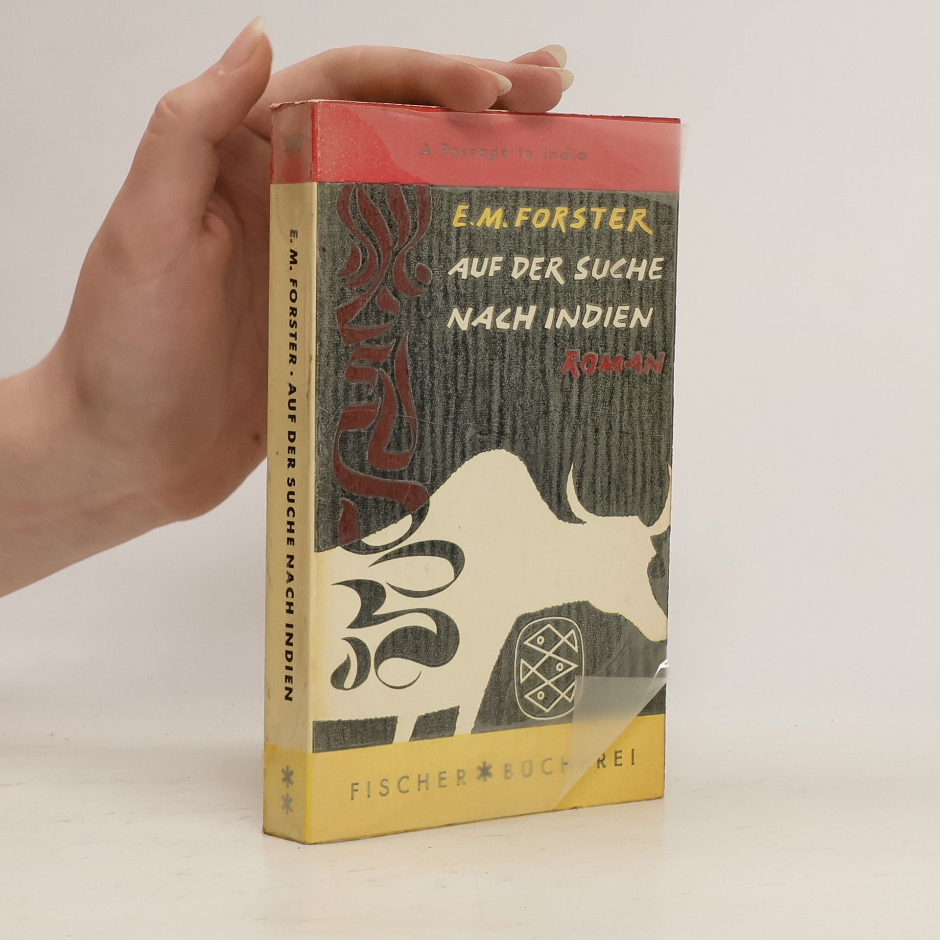 E. M. Forster Auf der Suche nach Indien