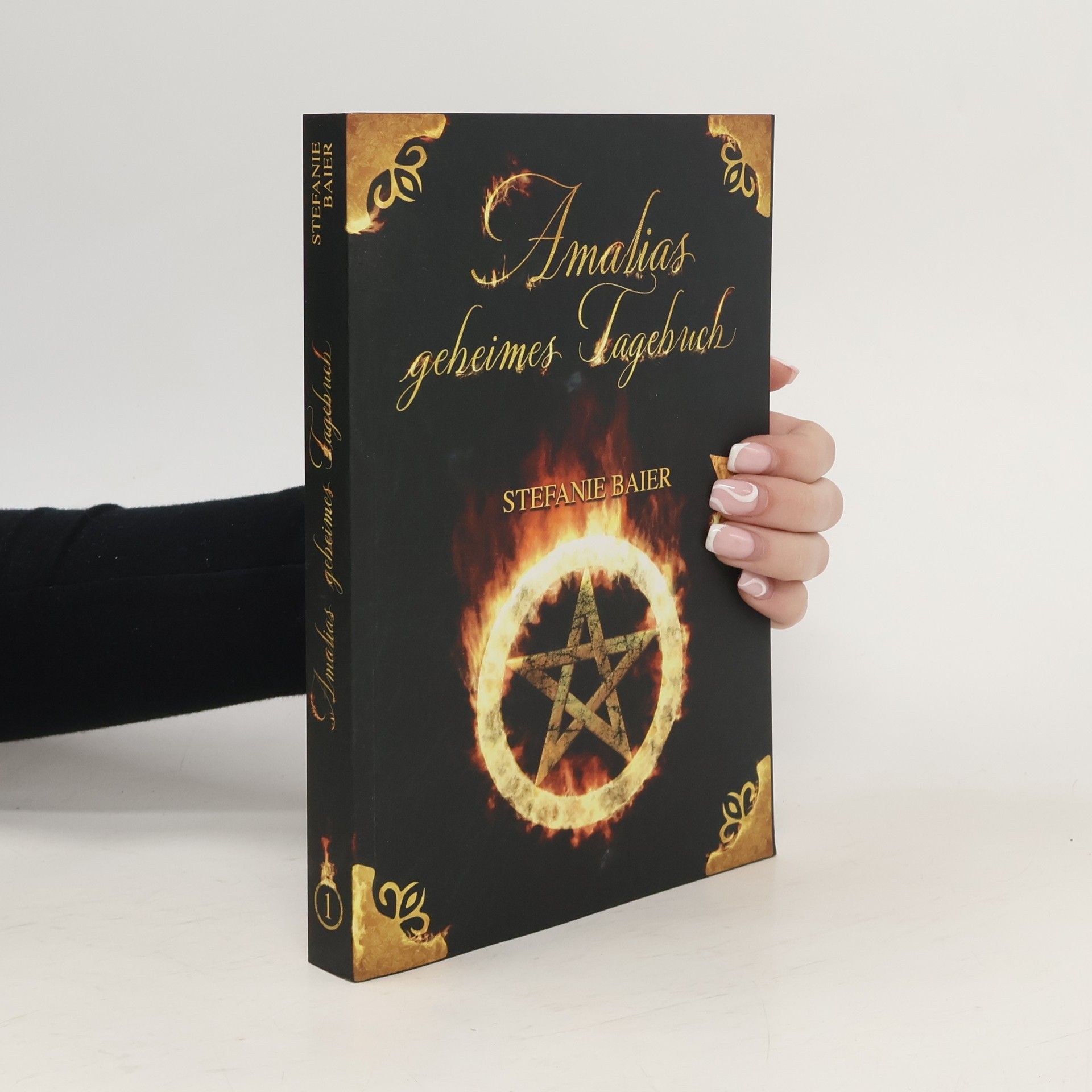 Stefanie Baier Amalias geheimes Tagebuch