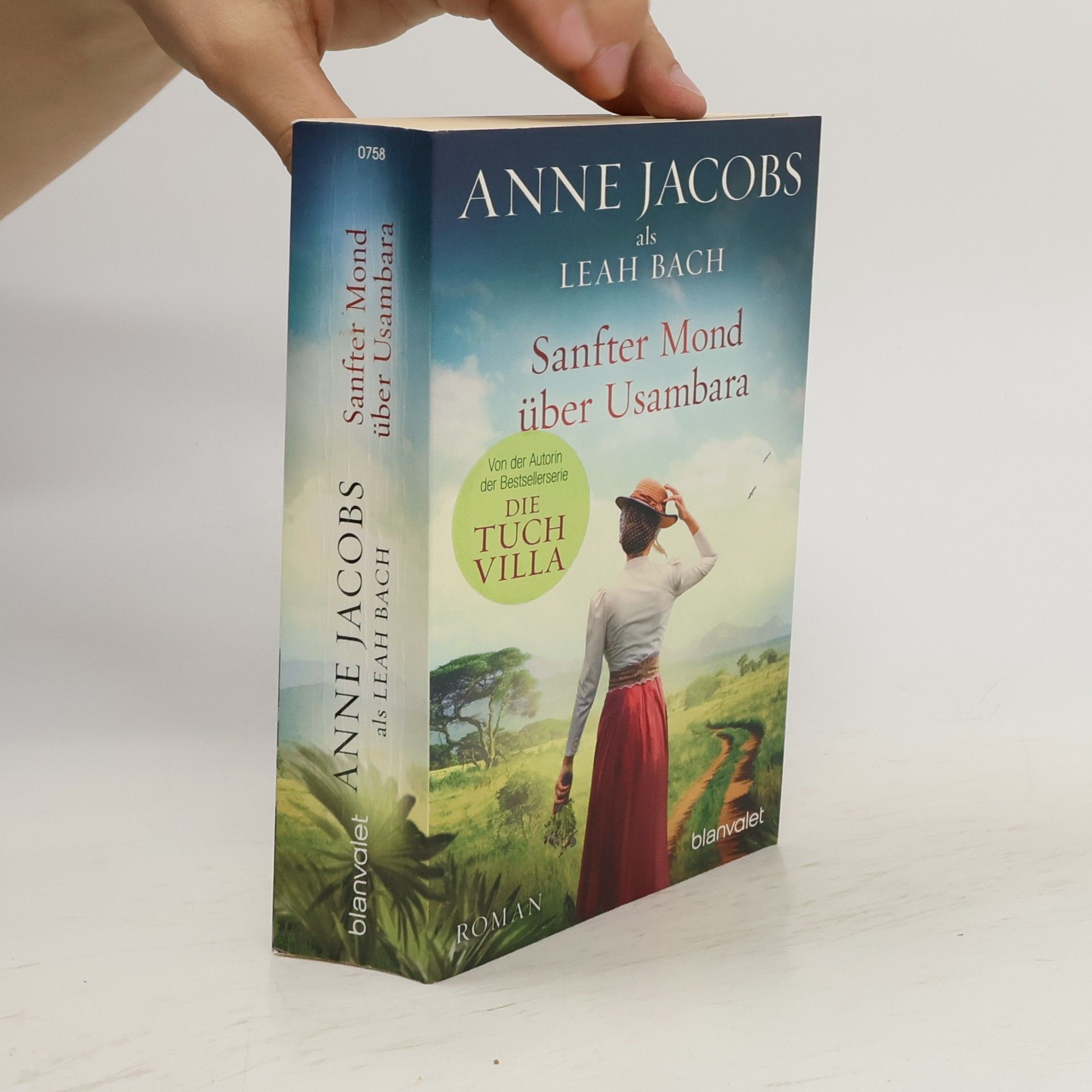 Anne Jacobs Sanfter Mond über Usambara