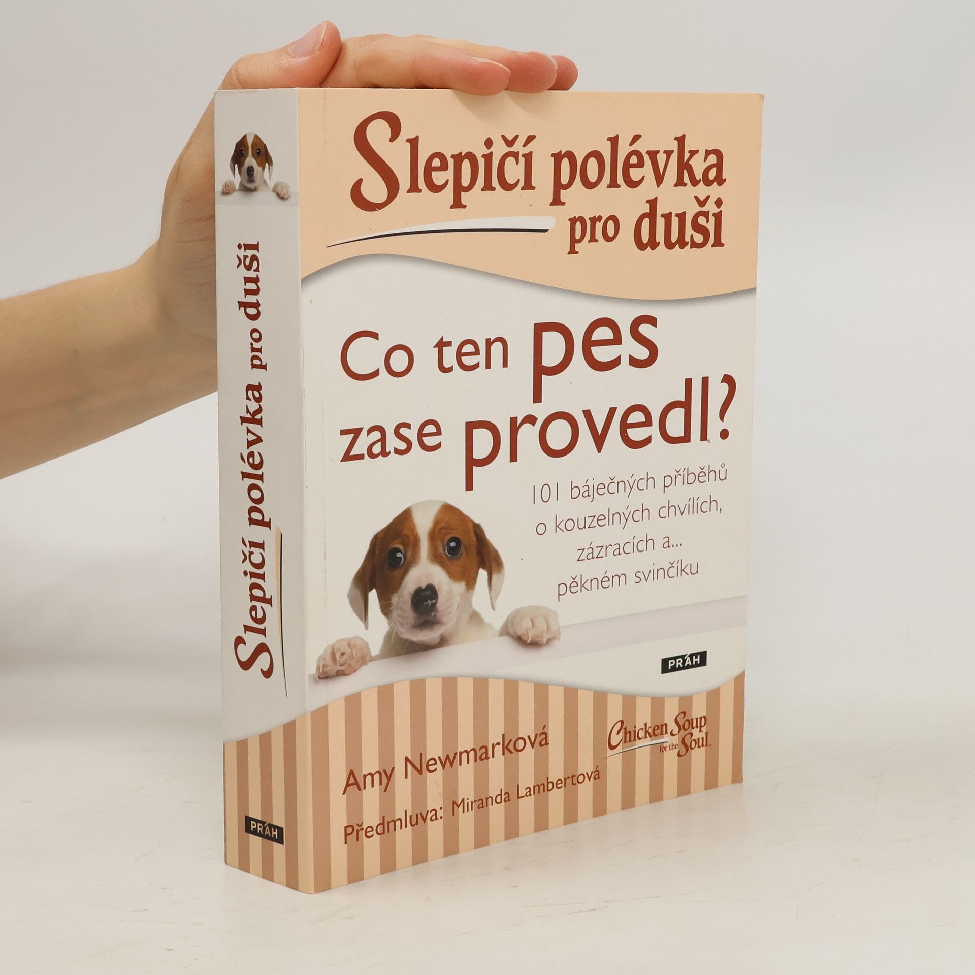 Amy Newmark Slepičí polévka pro duši. Co ten pes zase provedl?