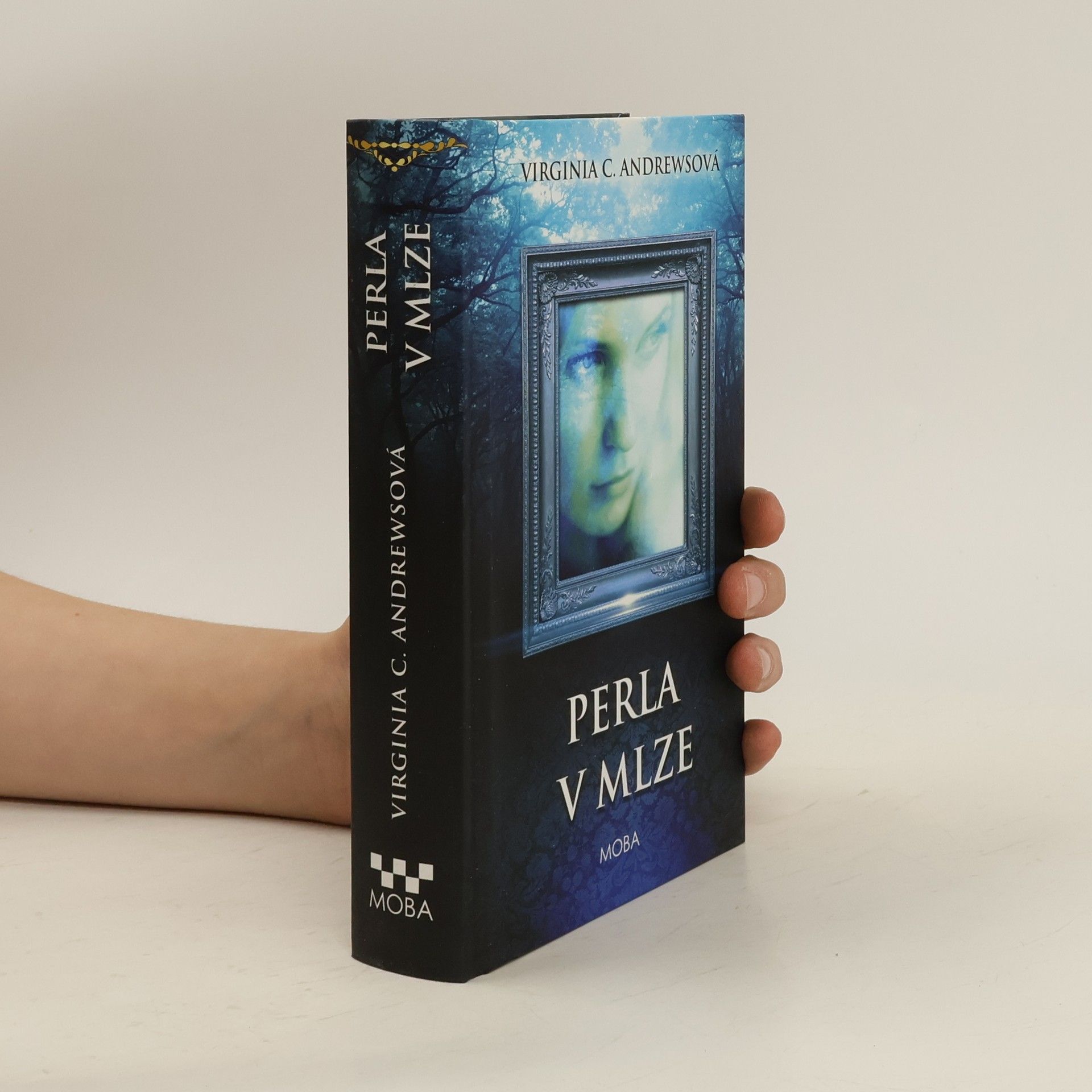 V. C. Andrews Perla v mlze