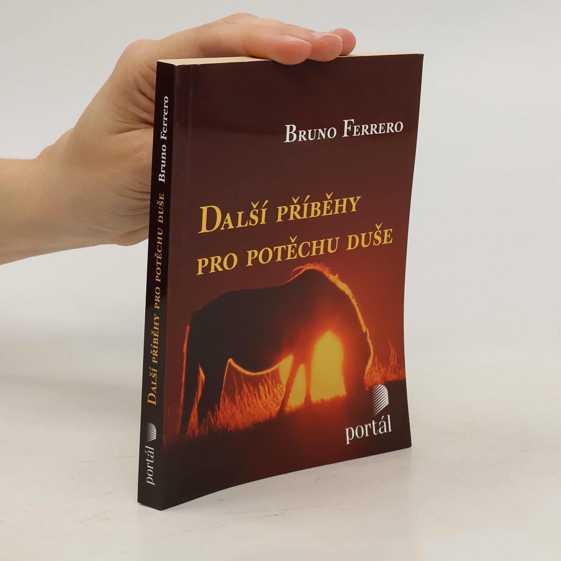 Bruno Ferrero Další příběhy pro potěchu duše