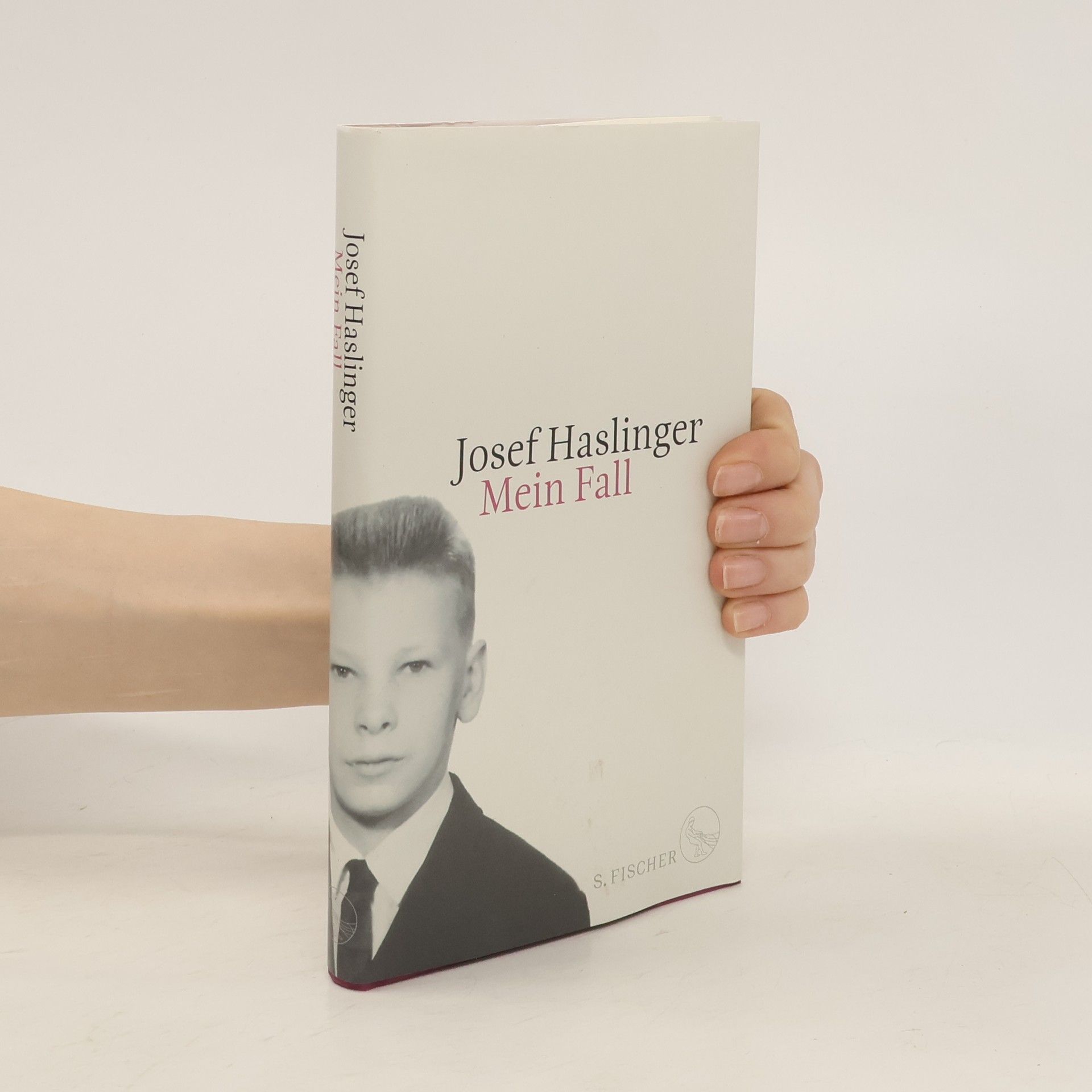 Josef Haslinger Mein Fall