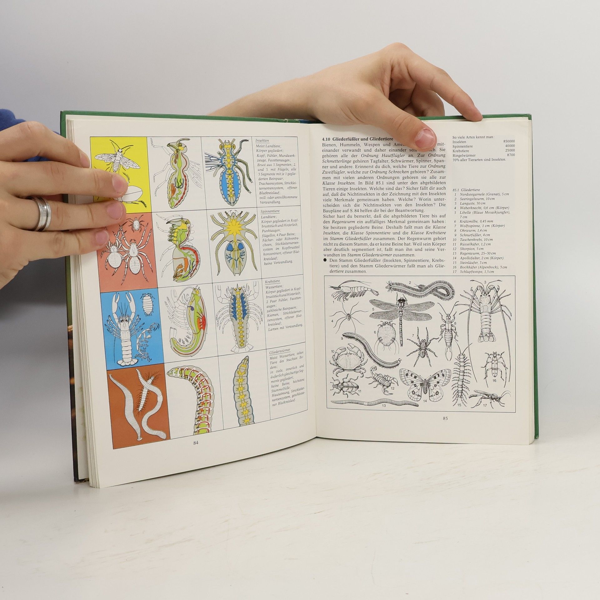 CVK-Biologie