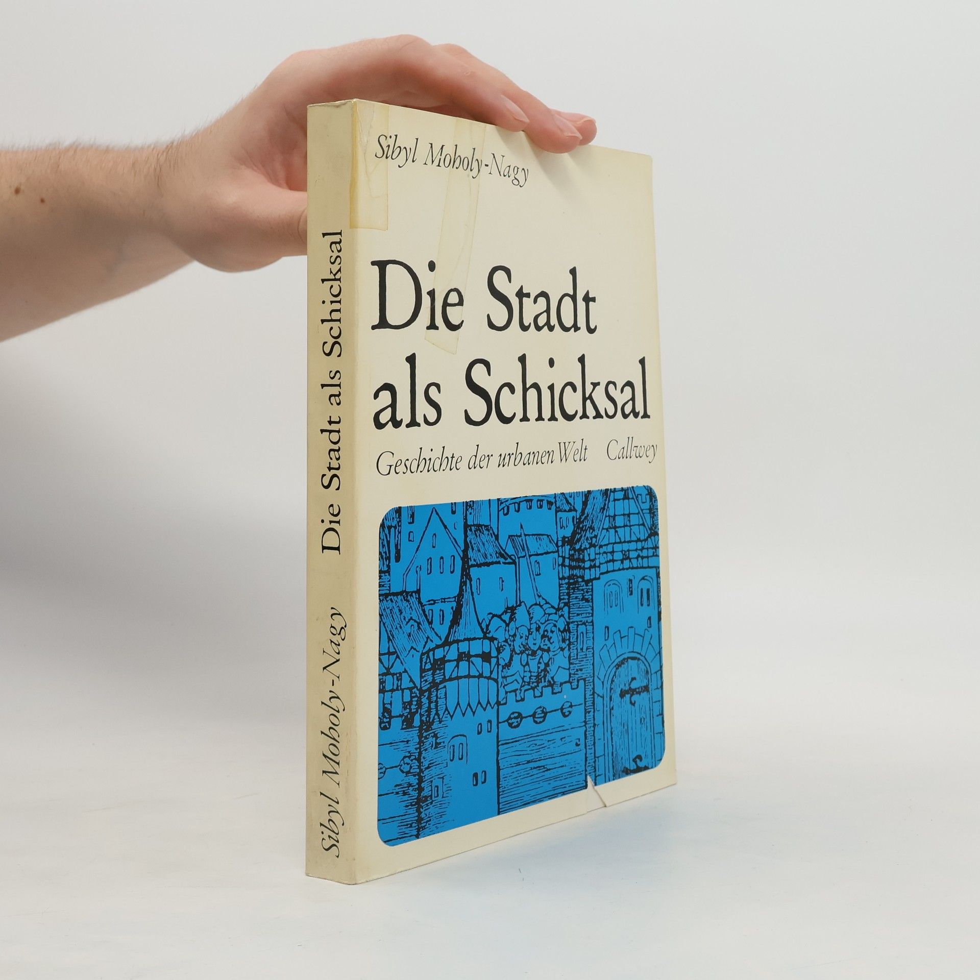 Sibyl Moholy-Nagy Die Stadt als Schicksal
