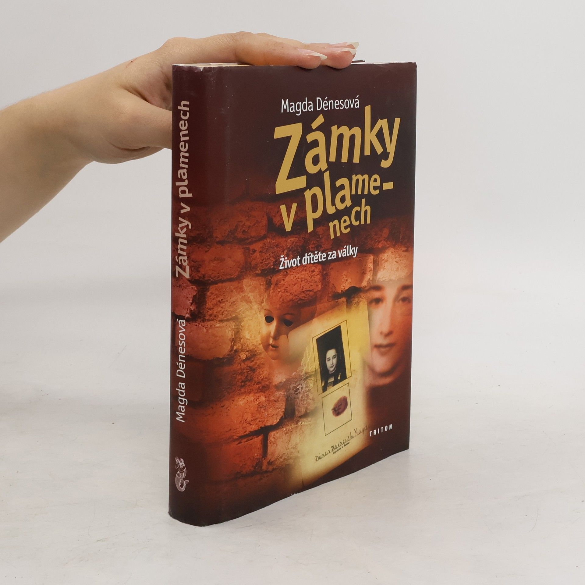 Magda Dénes Zámky v plamenech : život dítěte za války