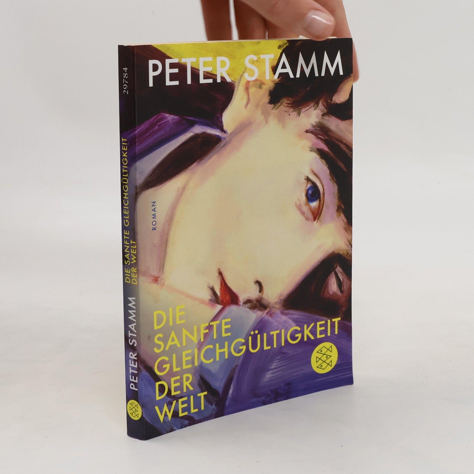 Peter Stamm Die sanfte Gleichgültigkeit der Welt