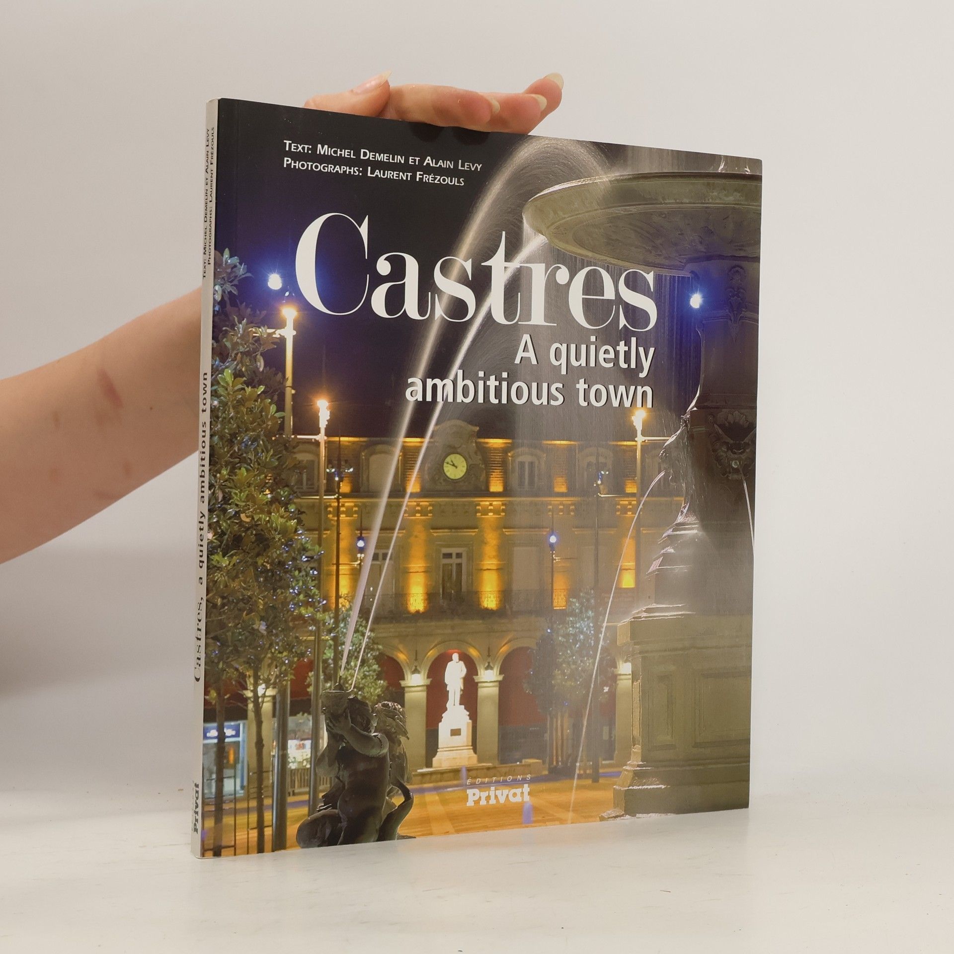 Michel Demelin Castres