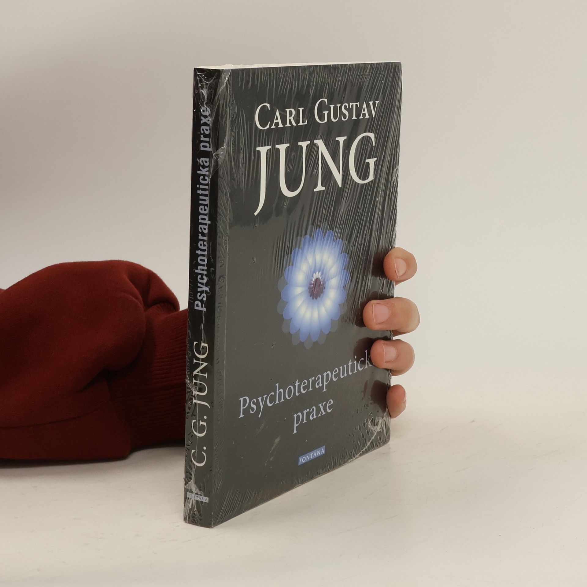 Carl Gustav Jung Psychoterapeutická praxe : příspěvky k problému psychoterapie a psychologie přenosu